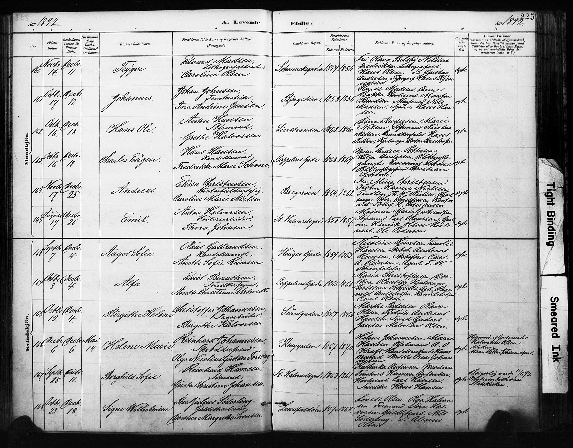 Bragernes kirkebøker, AV/SAKO-A-6/F/Fb/L0007: Parish register (official) no. II 7, 1885-1893, p. 225