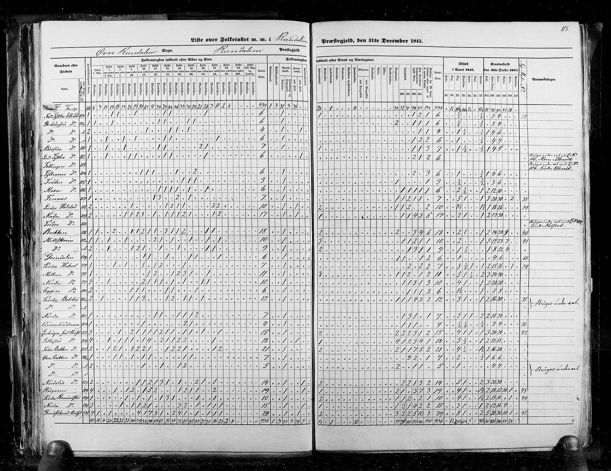 RA, Census 1845, vol. 3: Hedemarken amt og Kristians amt, 1845, p. 115