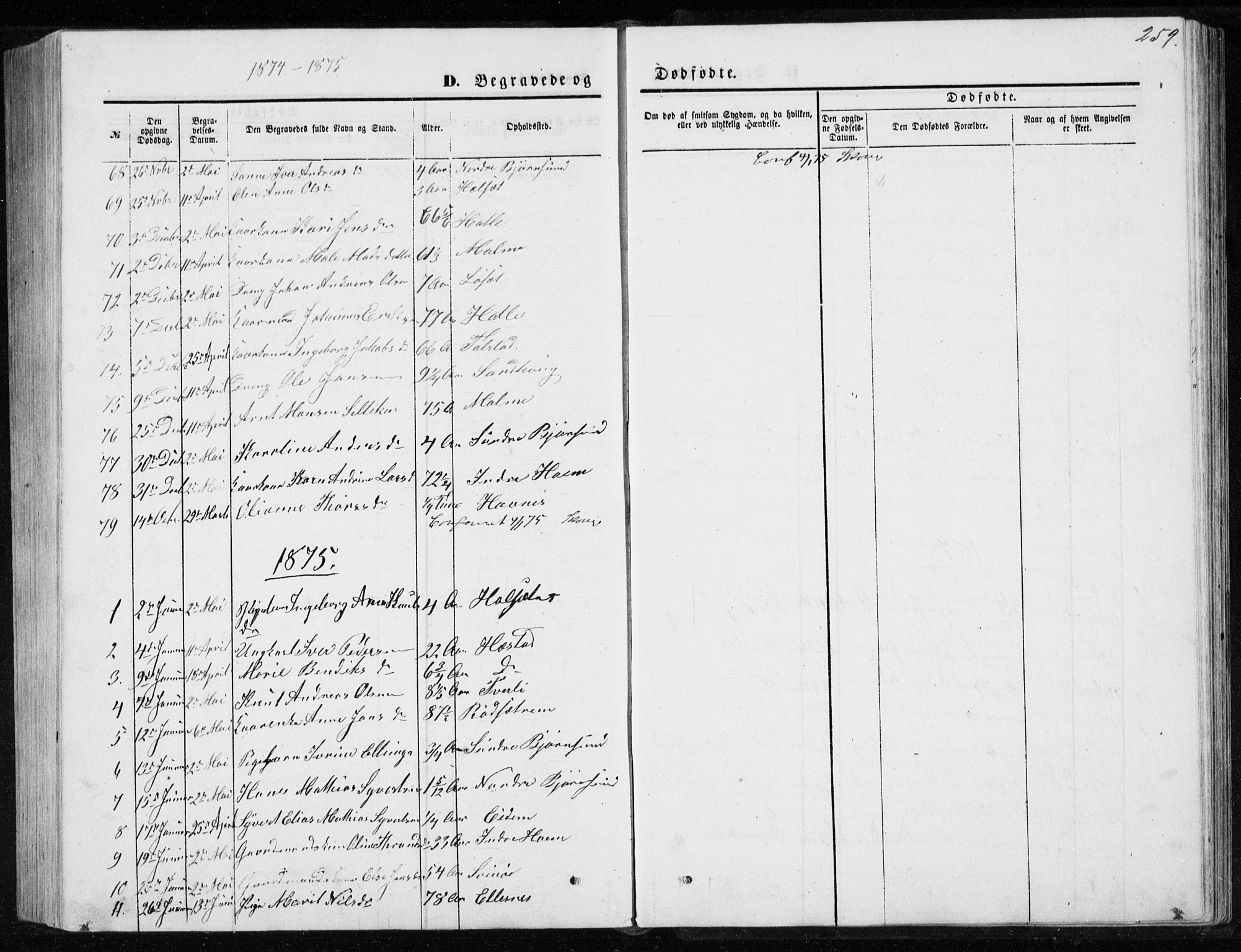 Ministerialprotokoller, klokkerbøker og fødselsregistre - Møre og Romsdal, SAT/A-1454/565/L0754: Parish register (copy) no. 565C03, 1870-1896, p. 259