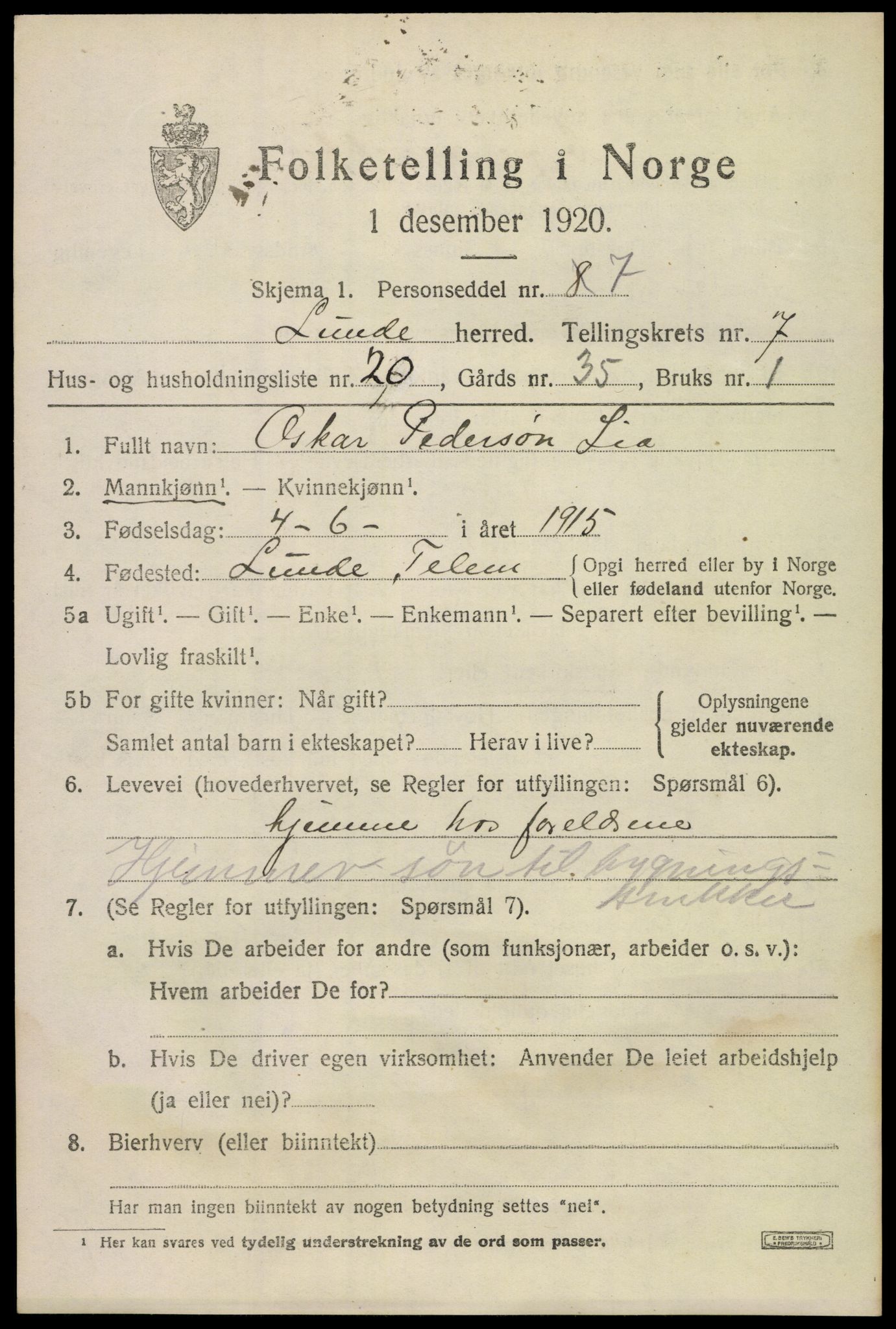SAKO, 1920 census for Lunde, 1920, p. 5111