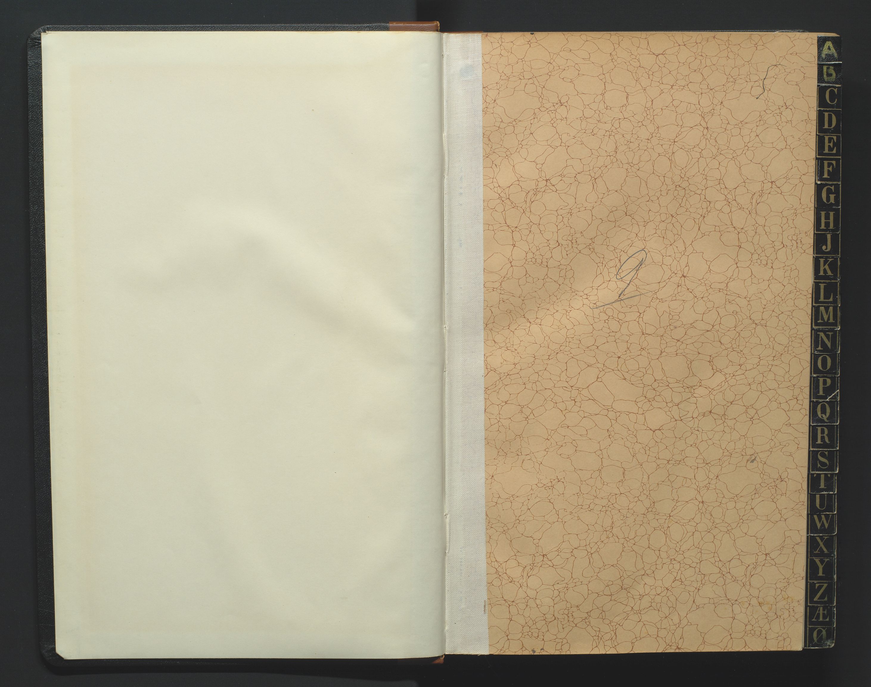 Torridal sorenskriveri, SAK/1221-0012/H/Hc/L0023: Skifteforhandlingsprotokoll med navneregister nr. 9, 1915-1921