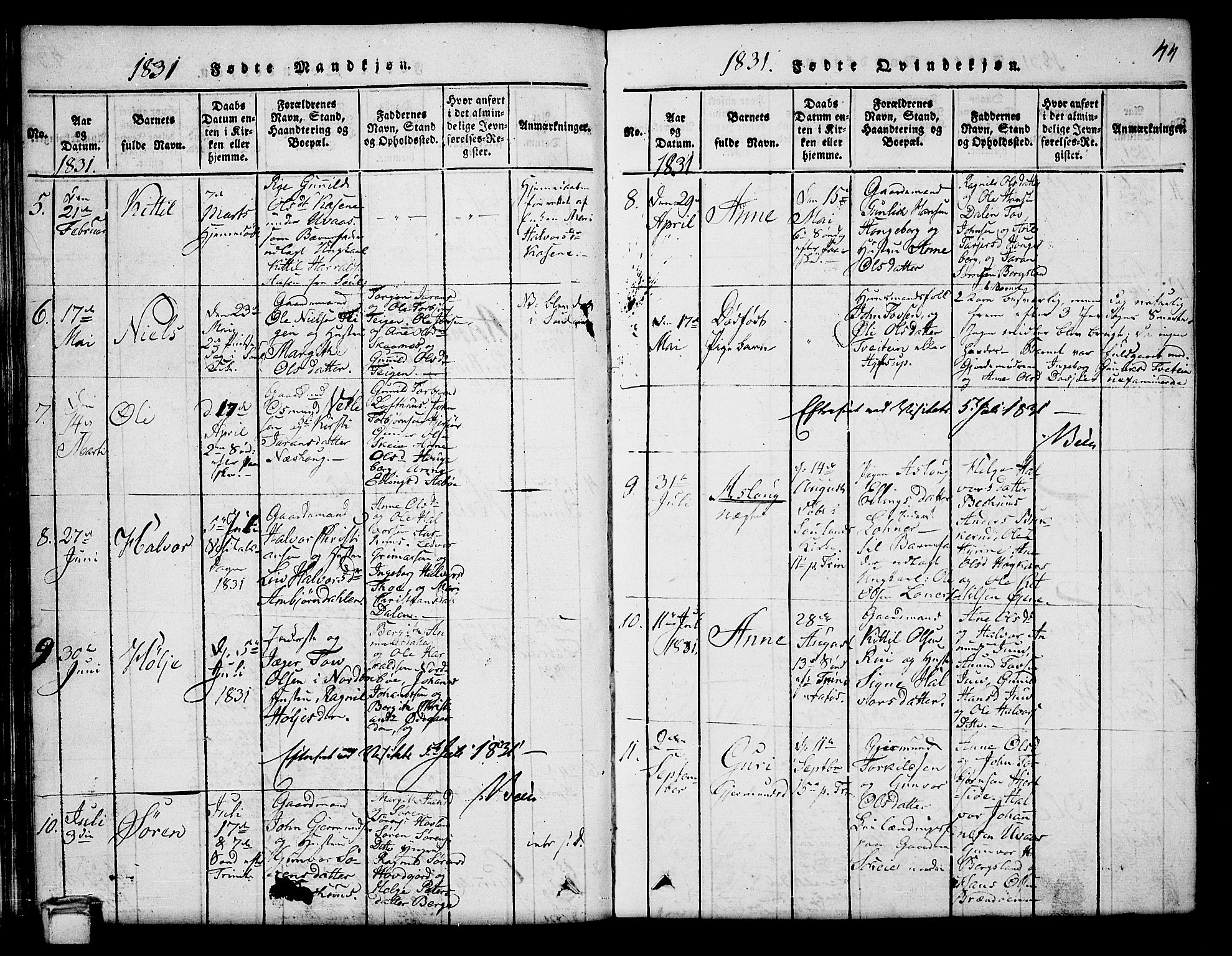 Hjartdal kirkebøker, AV/SAKO-A-270/G/Ga/L0001: Parish register (copy) no. I 1, 1815-1842, p. 44