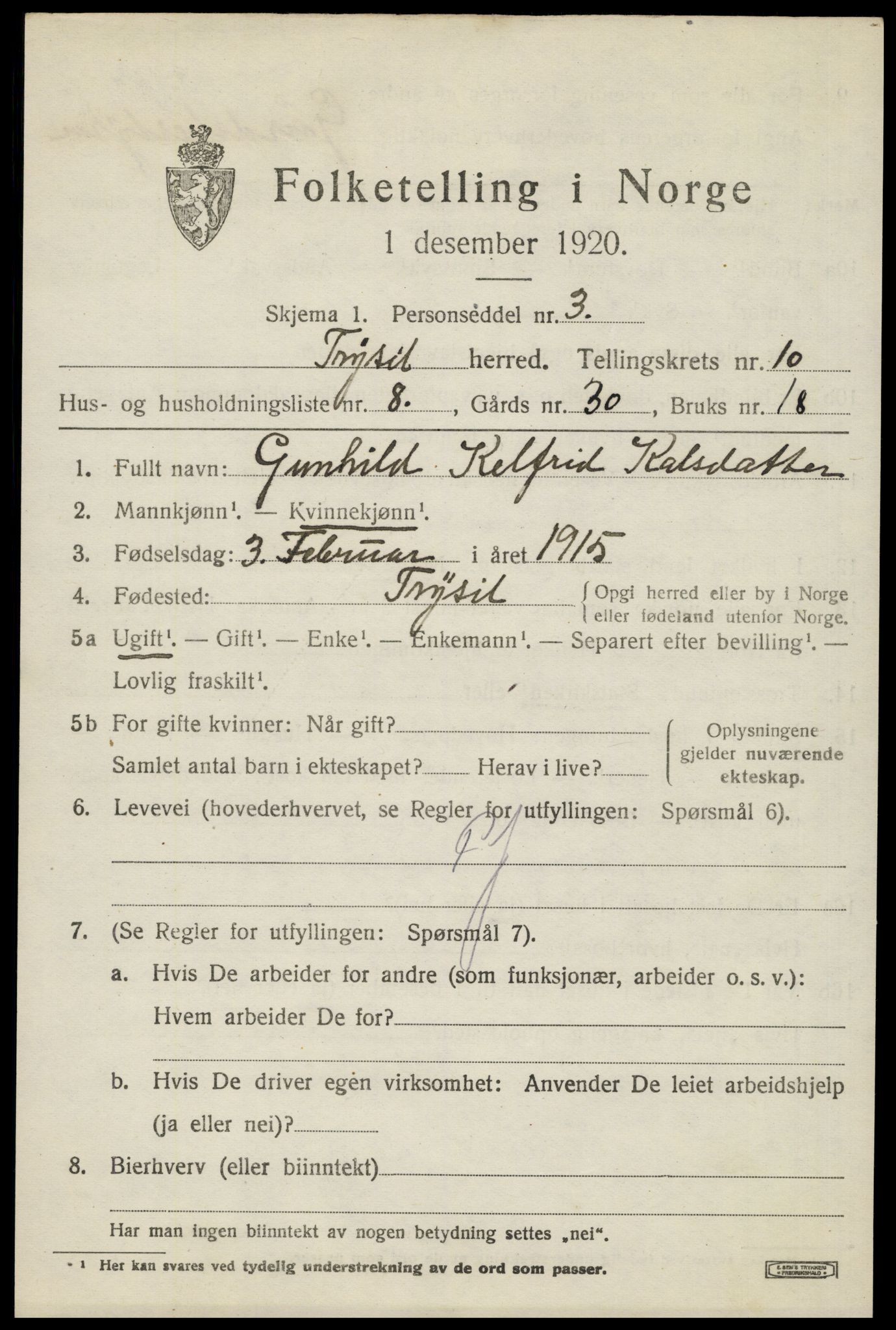 SAH, 1920 census for Trysil, 1920, p. 6947