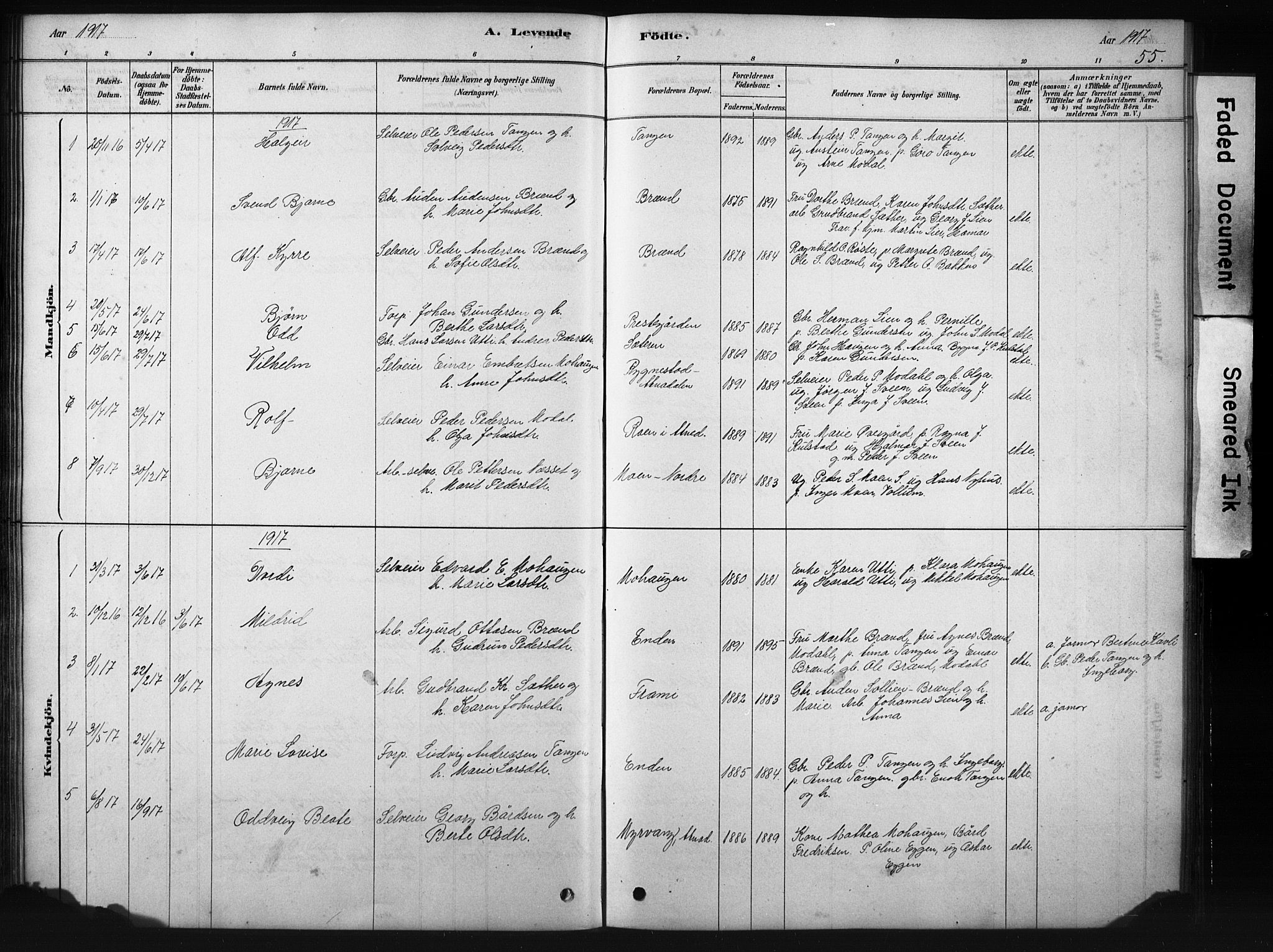 Sollia prestekontor, SAH/PREST-050/H/Ha/Hab/L0002: Parish register (copy) no. 2, 1880-1933, p. 55