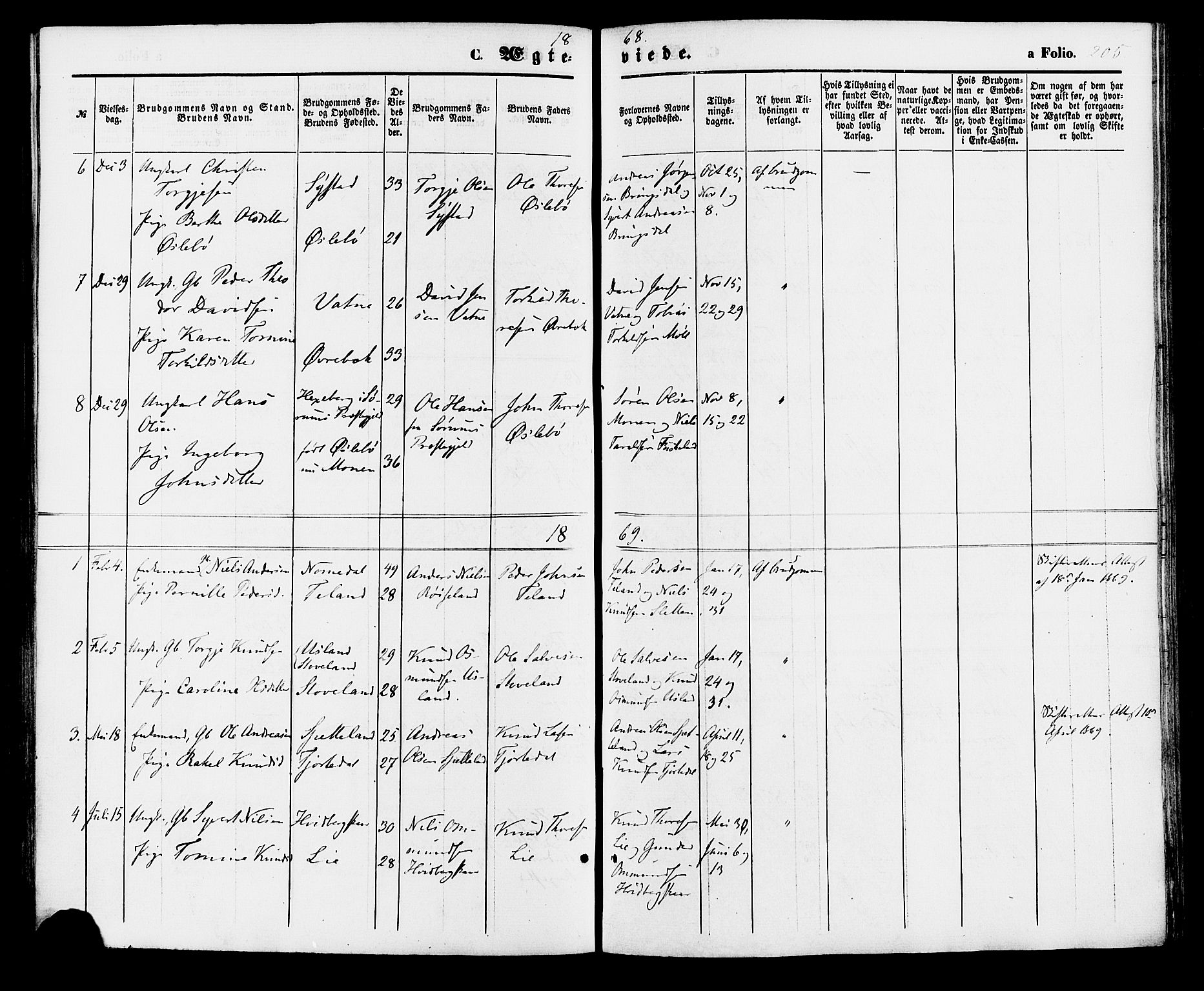 Holum sokneprestkontor, AV/SAK-1111-0022/F/Fa/Faa/L0006: Parish register (official) no. A 6, 1865-1883, p. 205