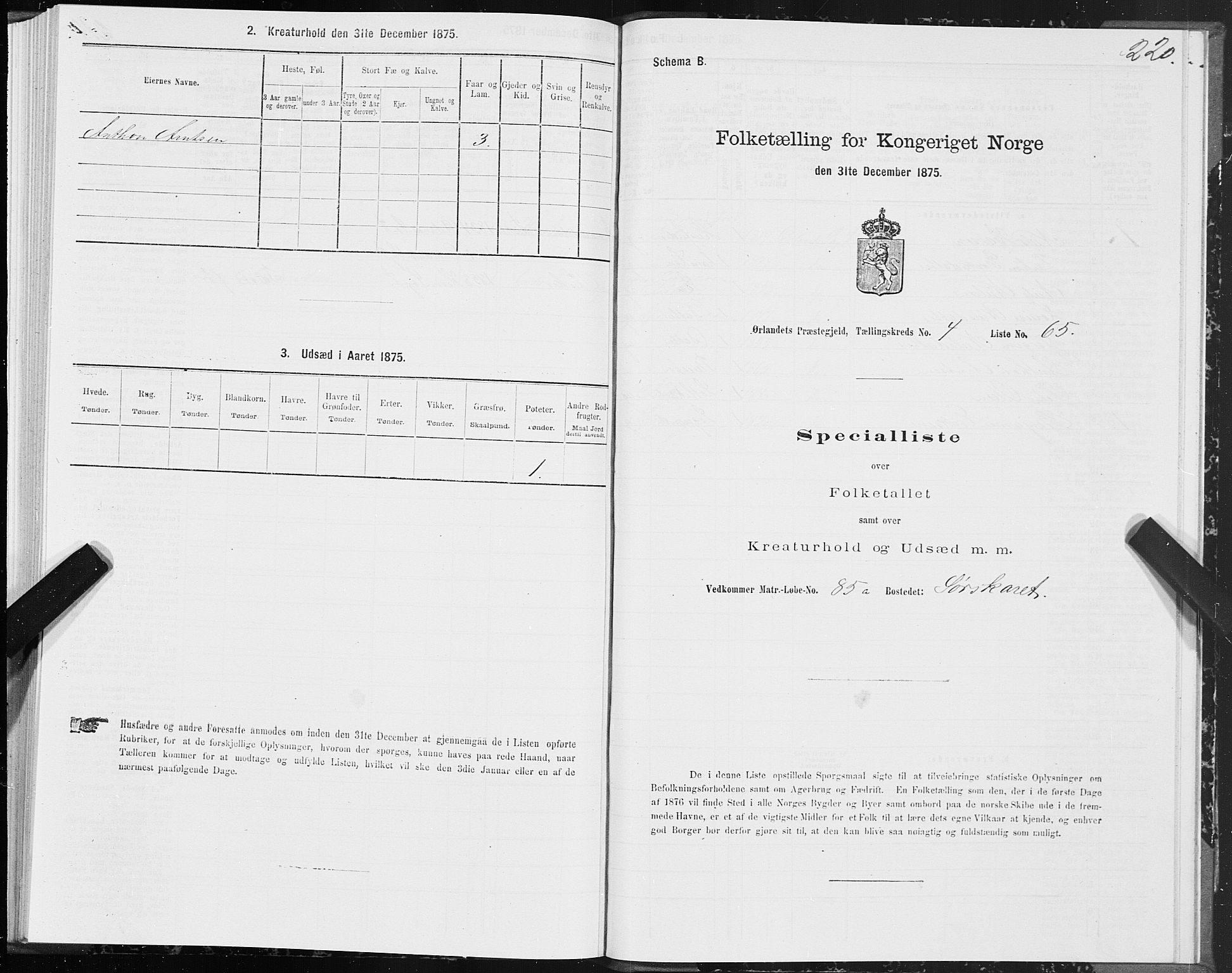 SAT, 1875 census for 1621P Ørland, 1875, p. 2220