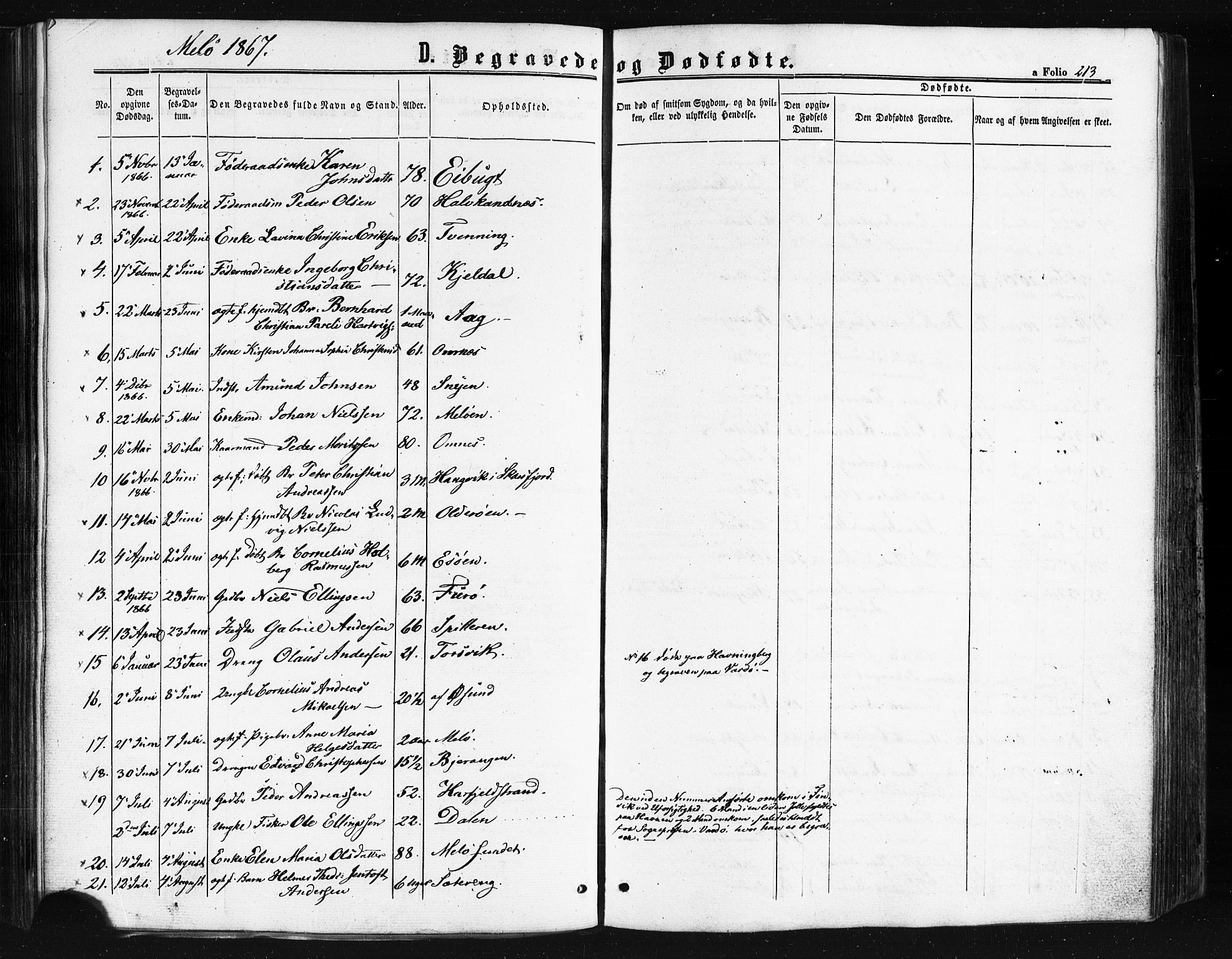 Ministerialprotokoller, klokkerbøker og fødselsregistre - Nordland, SAT/A-1459/841/L0607: Parish register (official) no. 841A11 /2, 1863-1877, p. 213