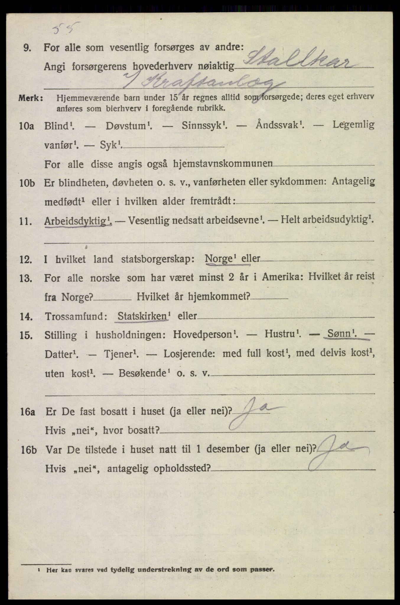 SAH, 1920 census for Tynset, 1920, p. 10051