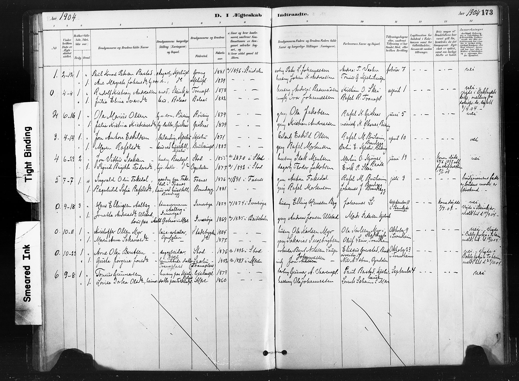Ministerialprotokoller, klokkerbøker og fødselsregistre - Nord-Trøndelag, SAT/A-1458/736/L0361: Parish register (official) no. 736A01, 1884-1906, p. 173