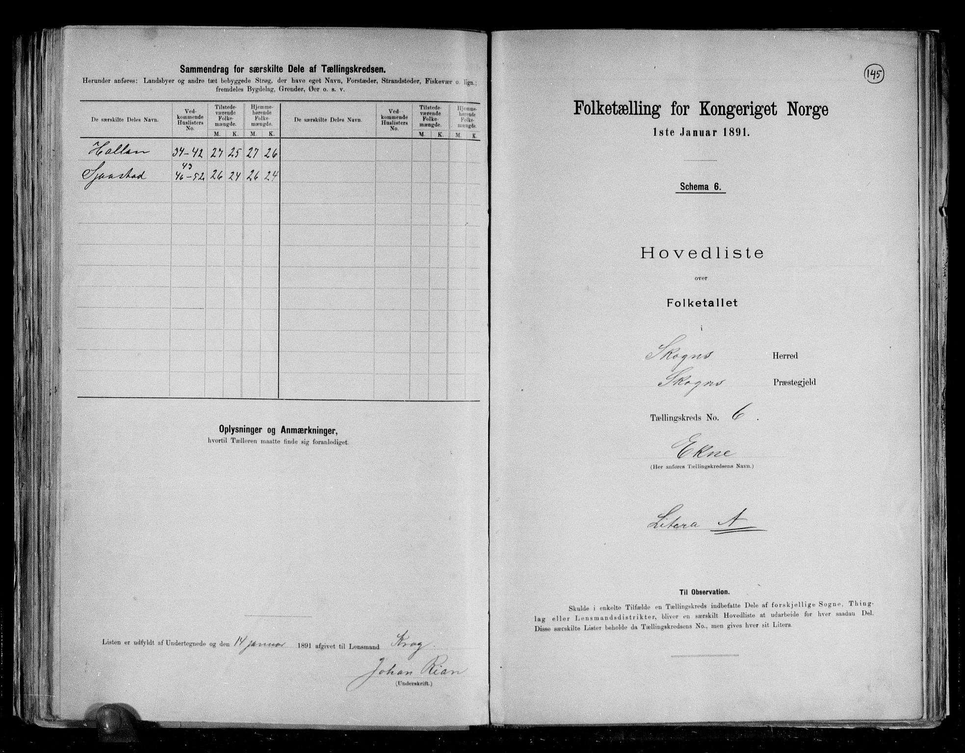 RA, 1891 census for 1719 Skogn, 1891, p. 19