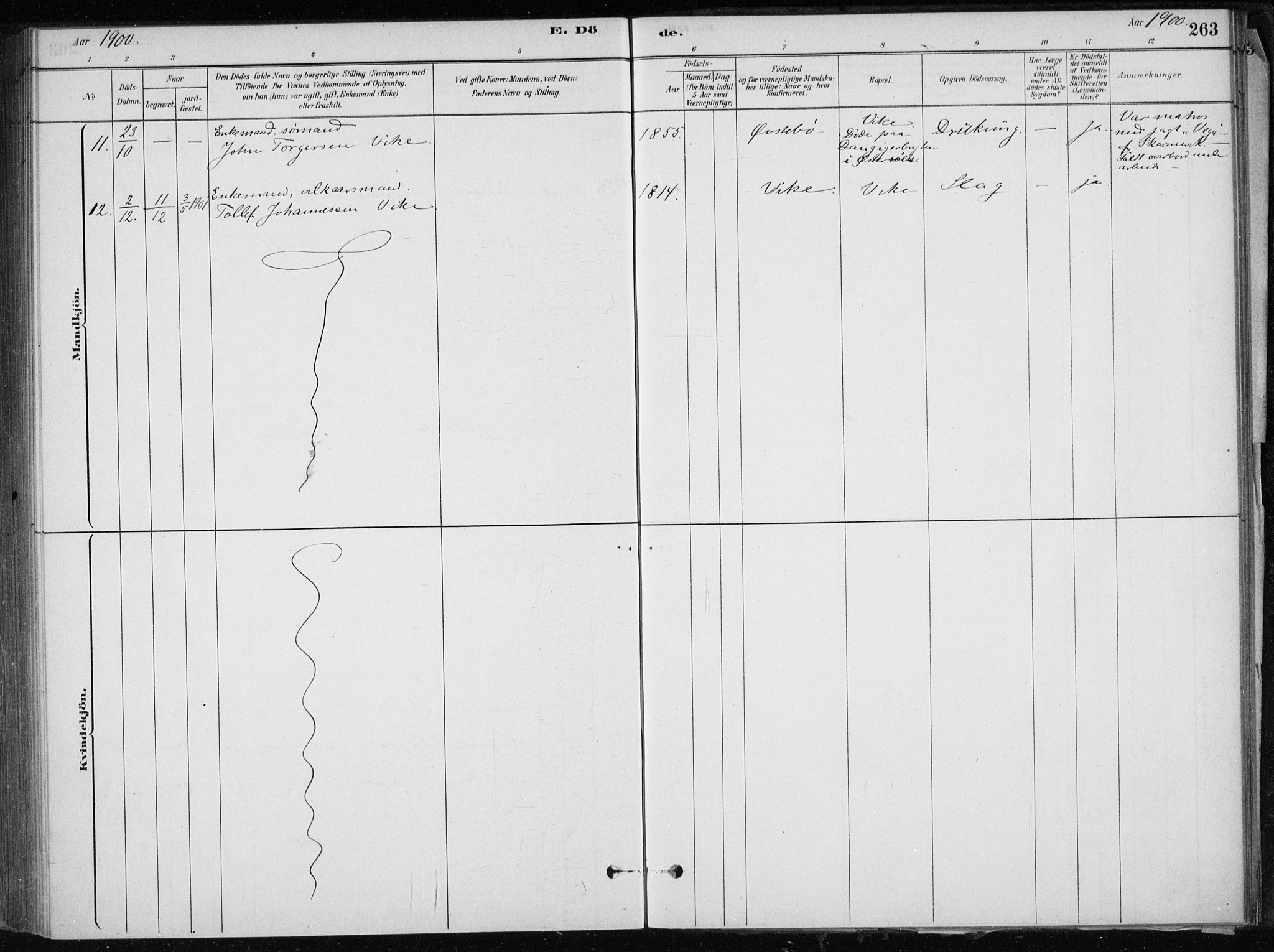 Skånevik sokneprestembete, AV/SAB-A-77801/H/Haa: Parish register (official) no. E  1, 1879-1901, p. 263