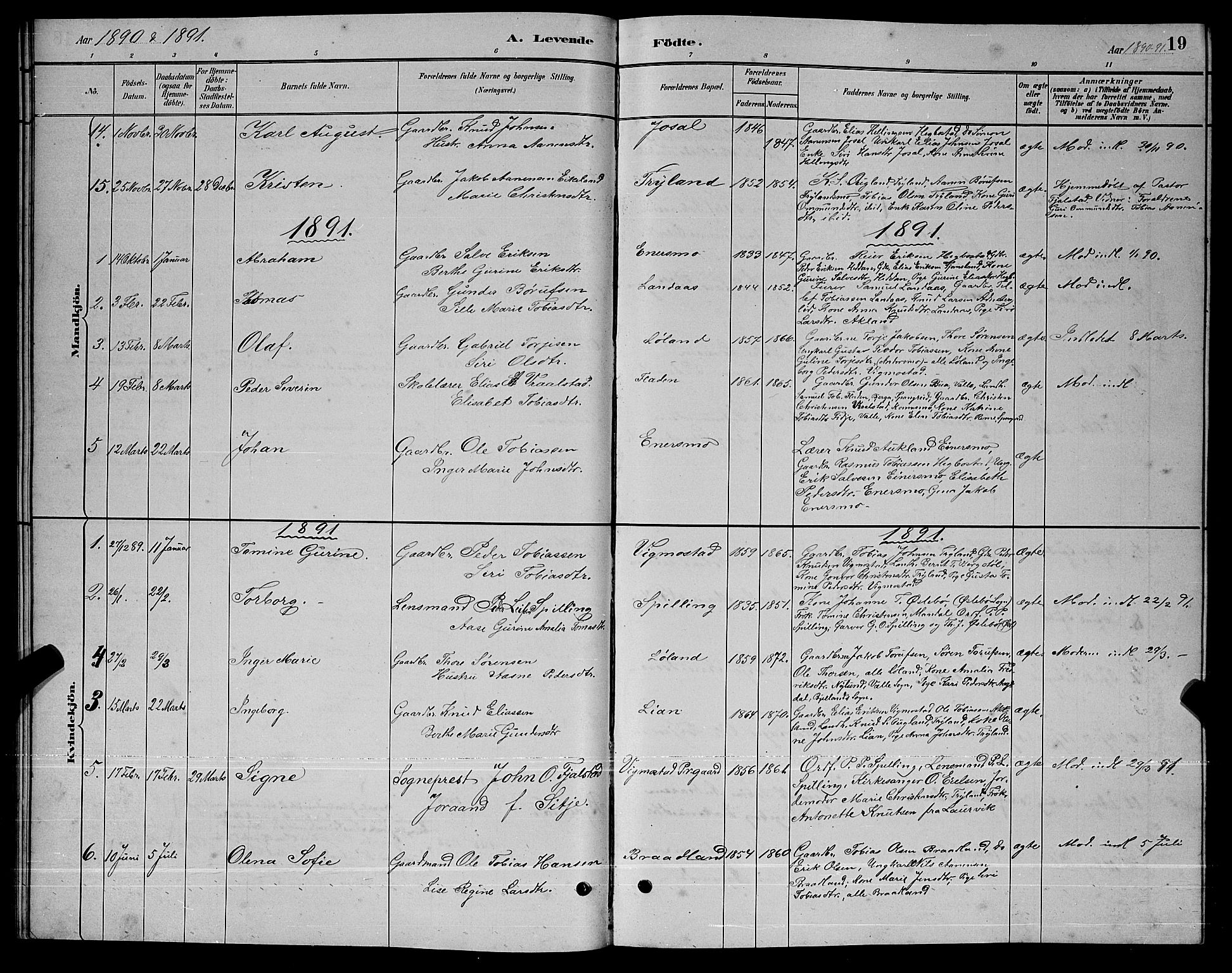 Nord-Audnedal sokneprestkontor, AV/SAK-1111-0032/F/Fb/Fbb/L0003: Parish register (copy) no. B 3, 1882-1900, p. 19