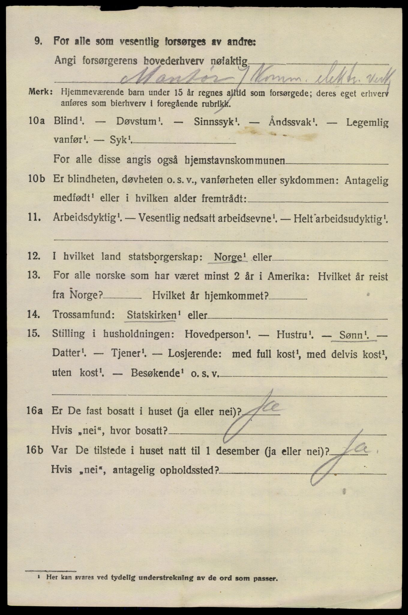 SAKO, 1920 census for Brunlanes, 1920, p. 9742