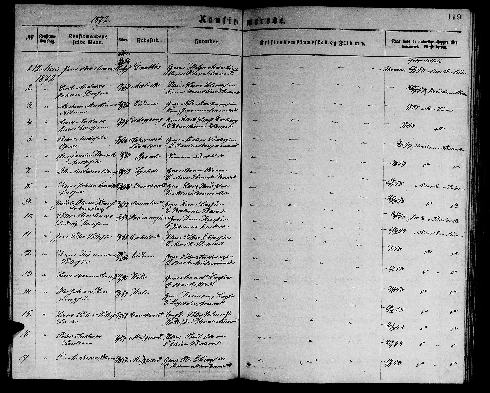 Ministerialprotokoller, klokkerbøker og fødselsregistre - Møre og Romsdal, AV/SAT-A-1454/523/L0338: Parish register (copy) no. 523C01, 1865-1877, p. 119