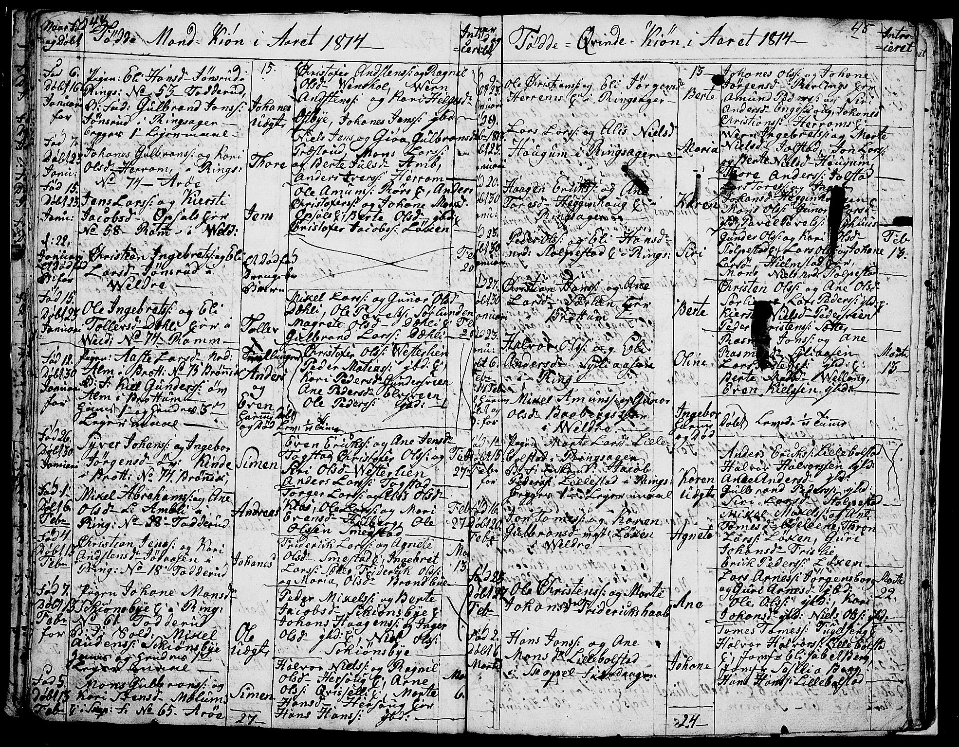 Ringsaker prestekontor, AV/SAH-PREST-014/I/Ia/L0005/0009: Parish register draft no. 5.9, 1811-1814, p. 46-47