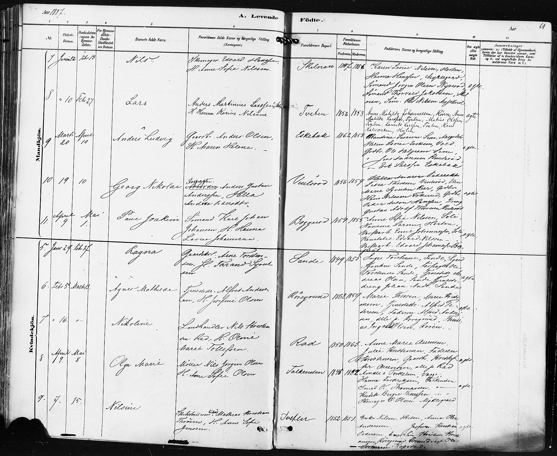 Borre kirkebøker, AV/SAKO-A-338/F/Fa/L0009: Parish register (official) no. I 9, 1878-1896, p. 60