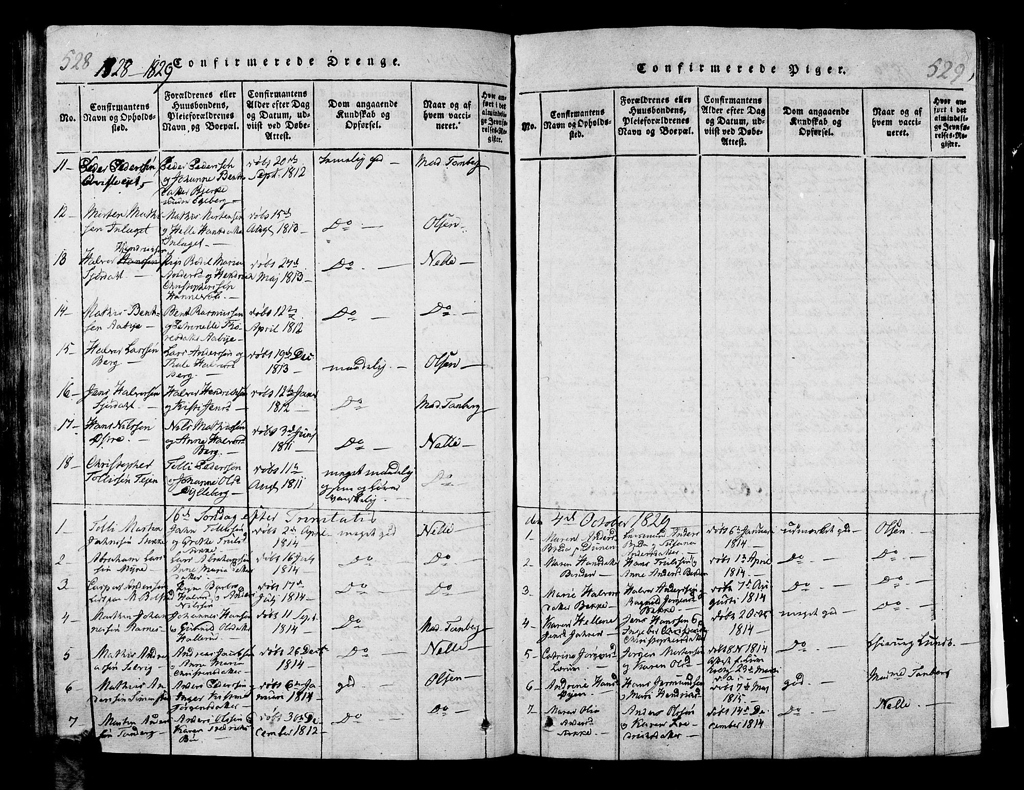 Sande Kirkebøker, SAKO/A-53/G/Ga/L0001: Parish register (copy) no. 1, 1814-1847, p. 528-529