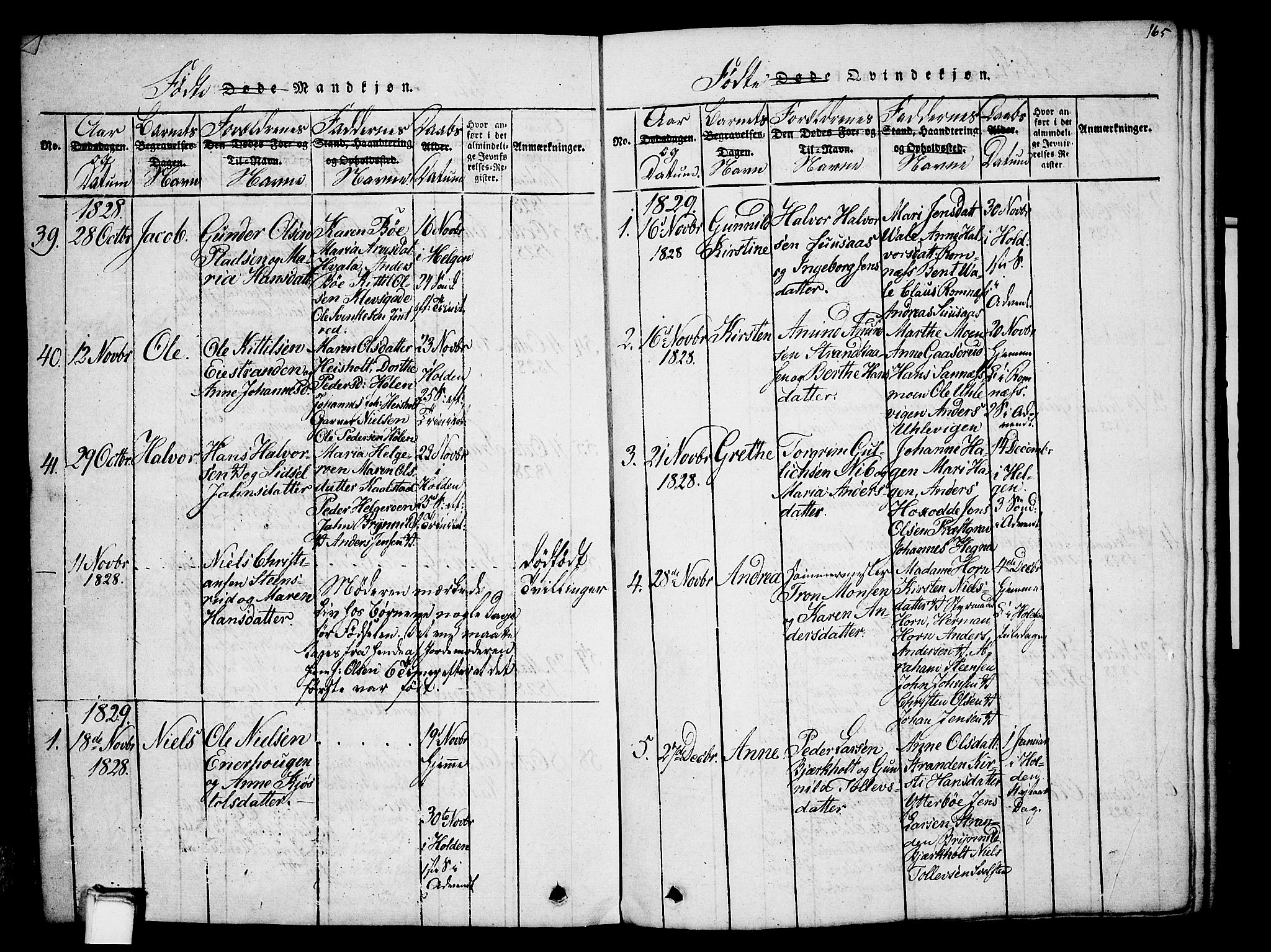 Holla kirkebøker, AV/SAKO-A-272/G/Ga/L0001: Parish register (copy) no. I 1, 1814-1830, p. 165