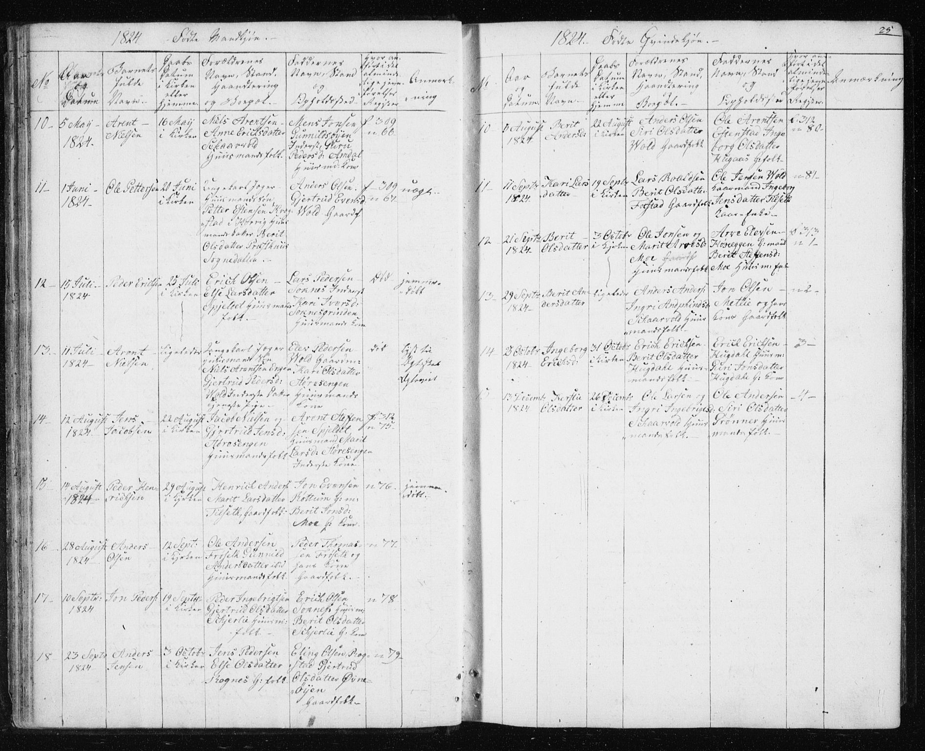 Ministerialprotokoller, klokkerbøker og fødselsregistre - Sør-Trøndelag, SAT/A-1456/687/L1017: Parish register (copy) no. 687C01, 1816-1837, p. 25