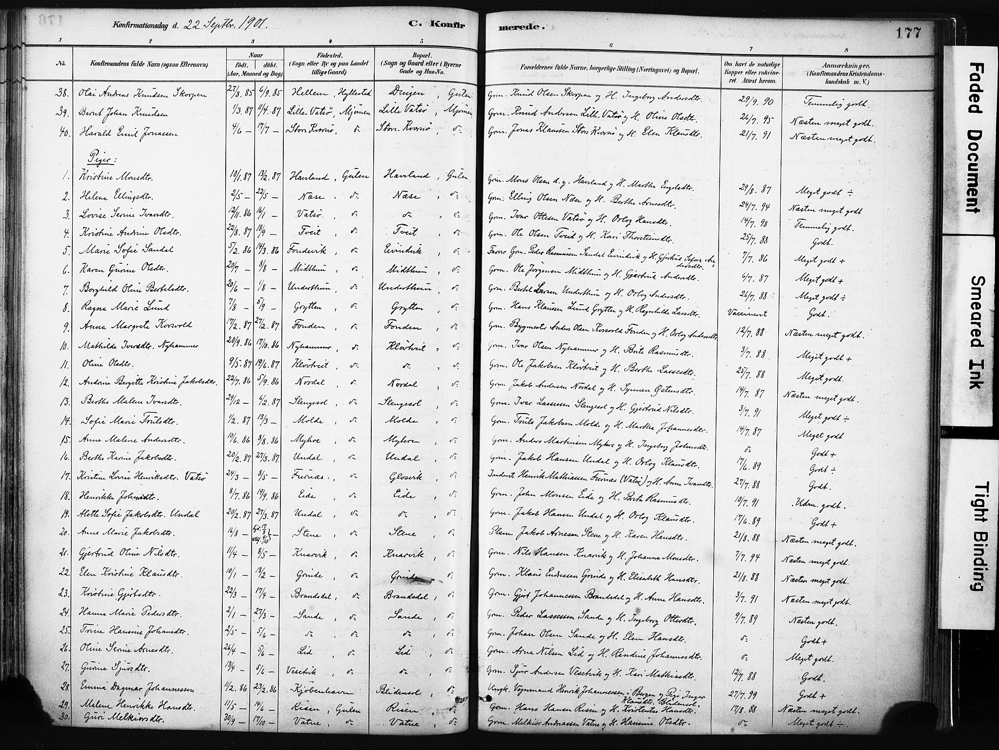 Gulen sokneprestembete, AV/SAB-A-80201/H/Haa/Haab/L0001: Parish register (official) no. B 1, 1881-1905, p. 177