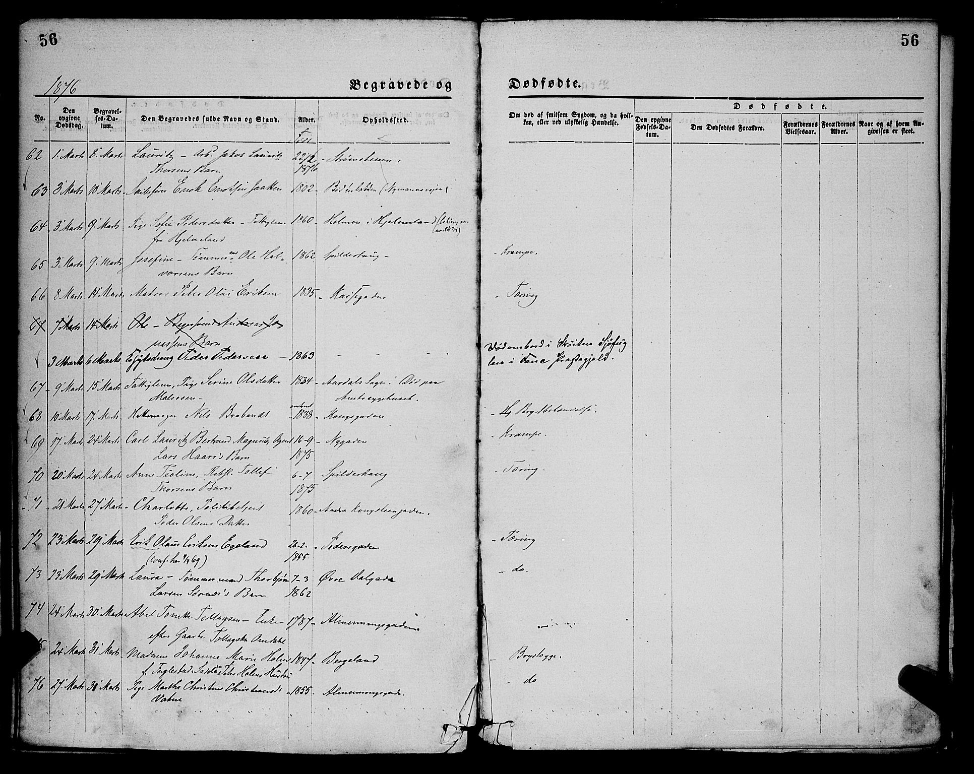 St. Petri sokneprestkontor, AV/SAST-A-101813/001/30/30BA/L0012: Parish register (official) no. A 12, 1873-1878, p. 56