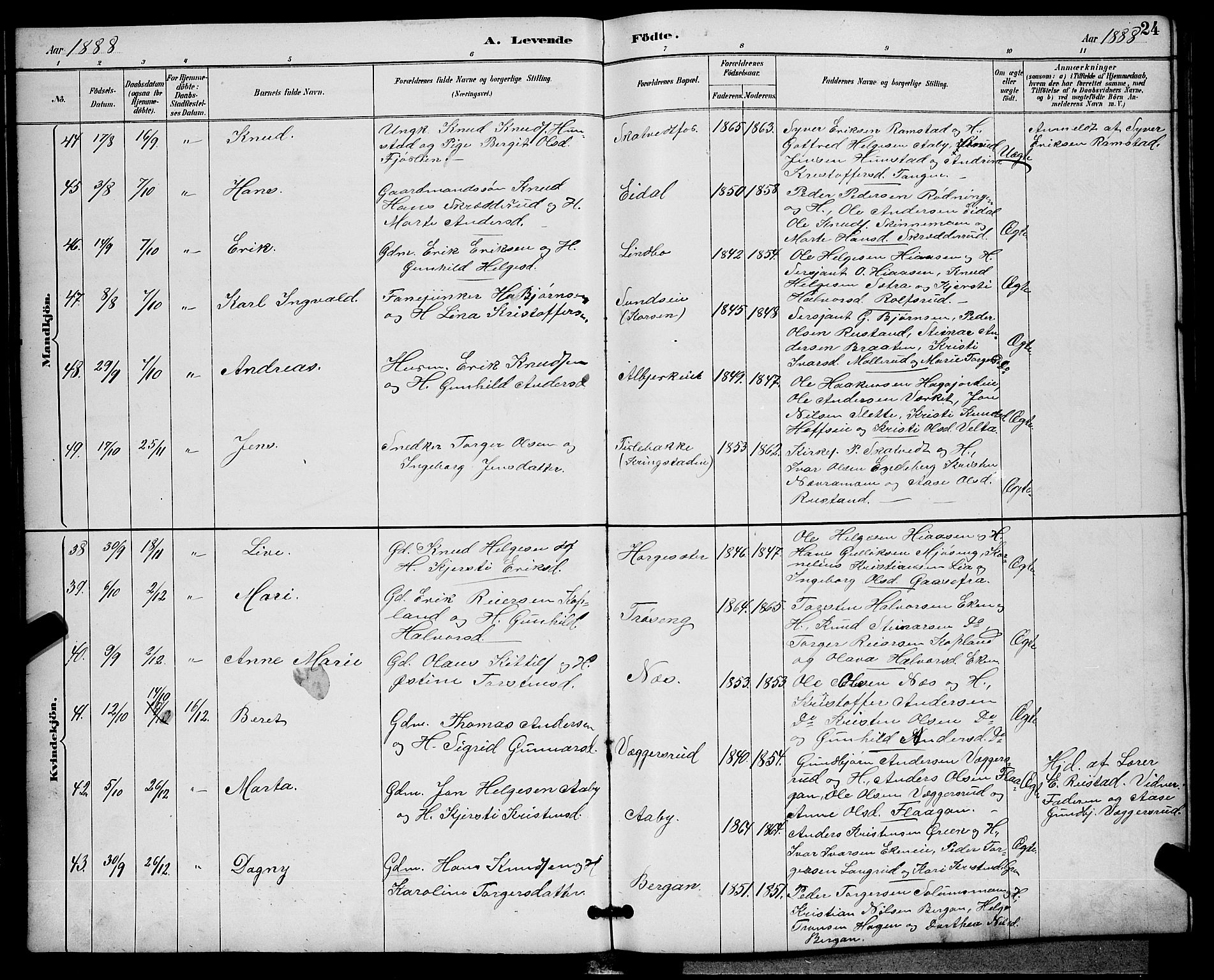 Sigdal kirkebøker, AV/SAKO-A-245/G/Ga/L0005: Parish register (copy) no. I 5, 1886-1900, p. 24