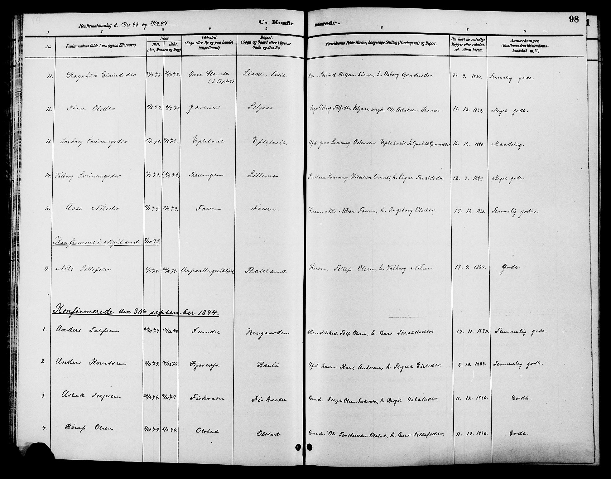 Åmli sokneprestkontor, AV/SAK-1111-0050/F/Fb/Fbc/L0004: Parish register (copy) no. B 4, 1889-1902, p. 98