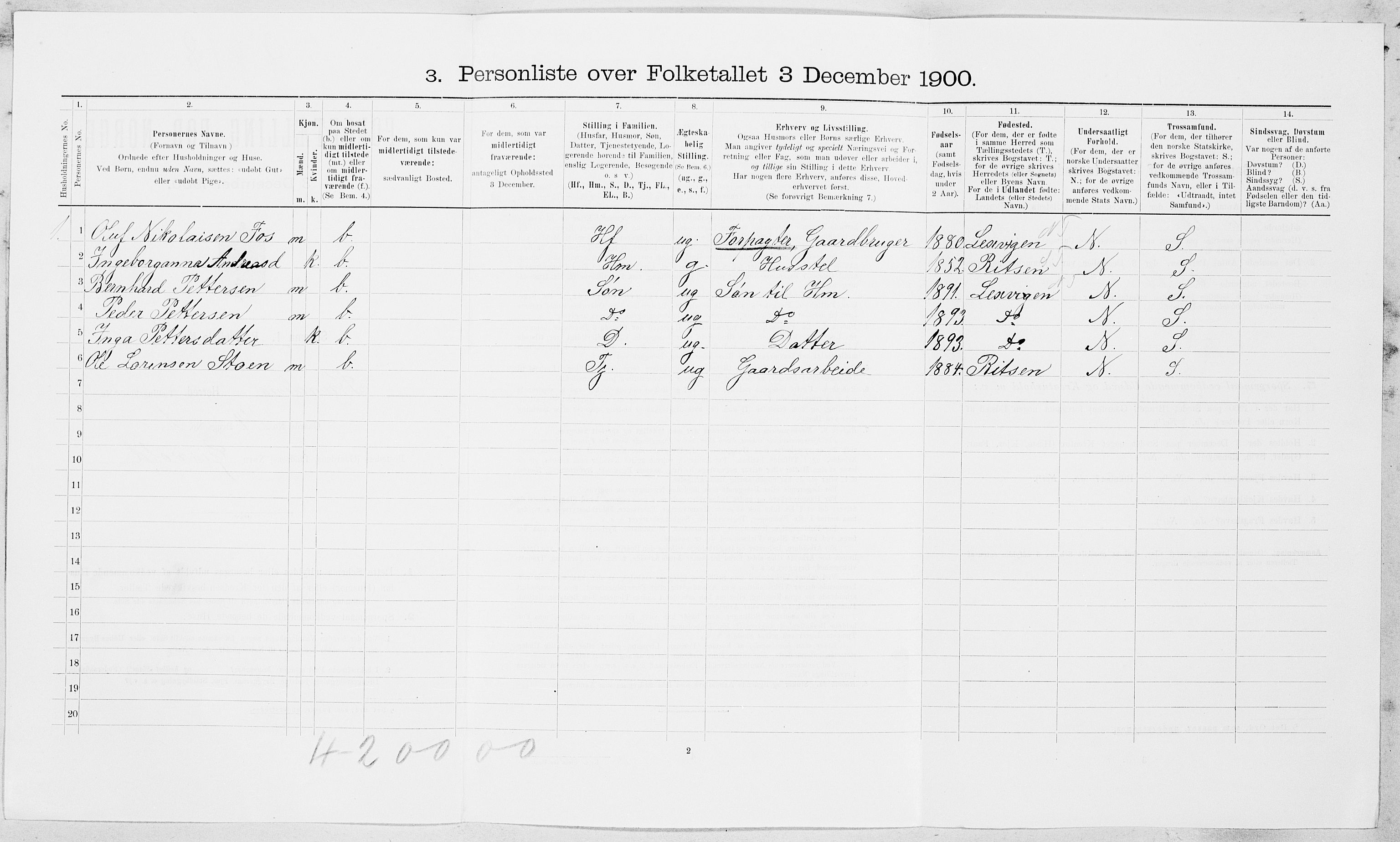 SAT, 1900 census for Strinda, 1900, p. 1207