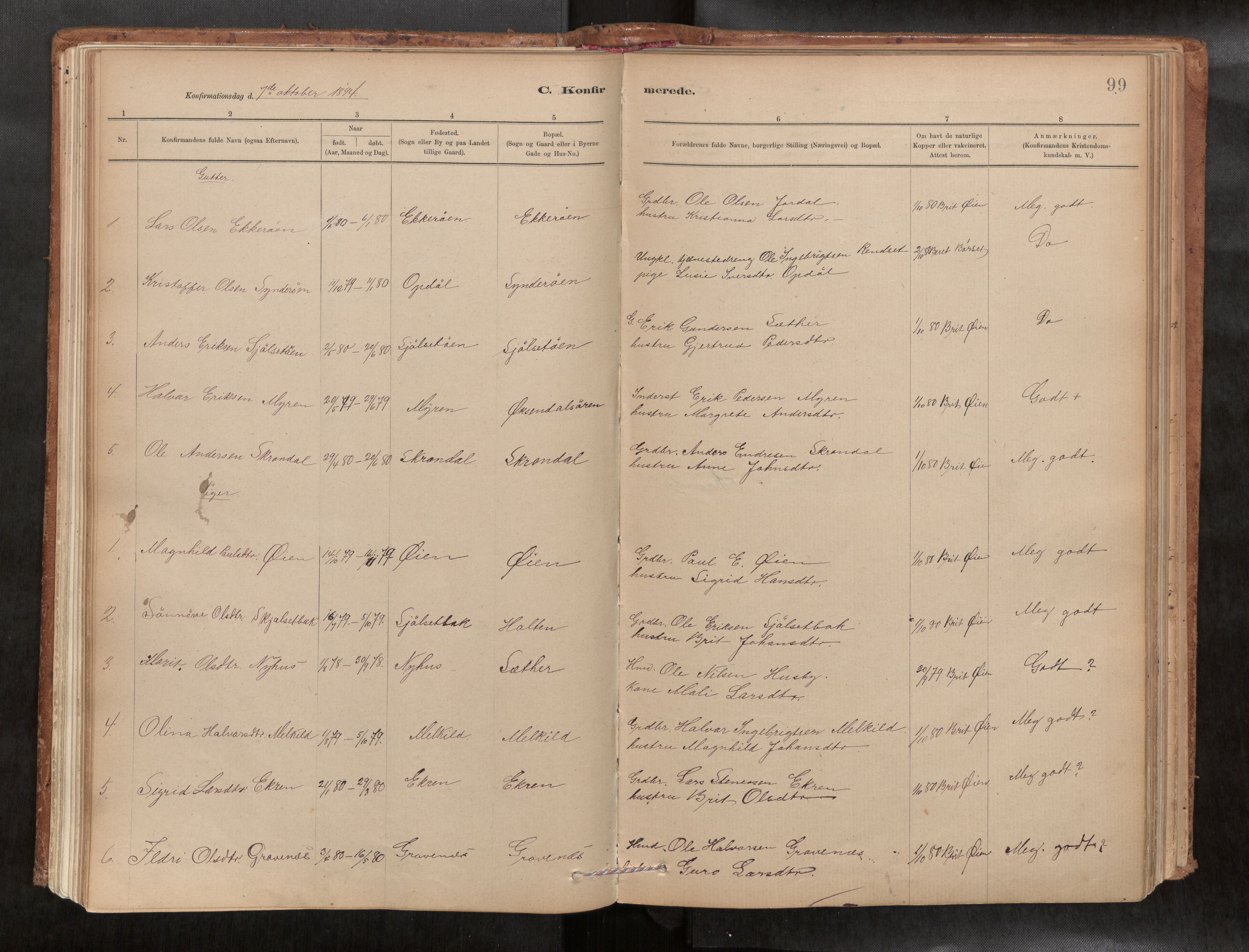 Ministerialprotokoller, klokkerbøker og fødselsregistre - Møre og Romsdal, SAT/A-1454/588/L1006: Parish register (official) no. 588A03, 1886-1912, p. 99