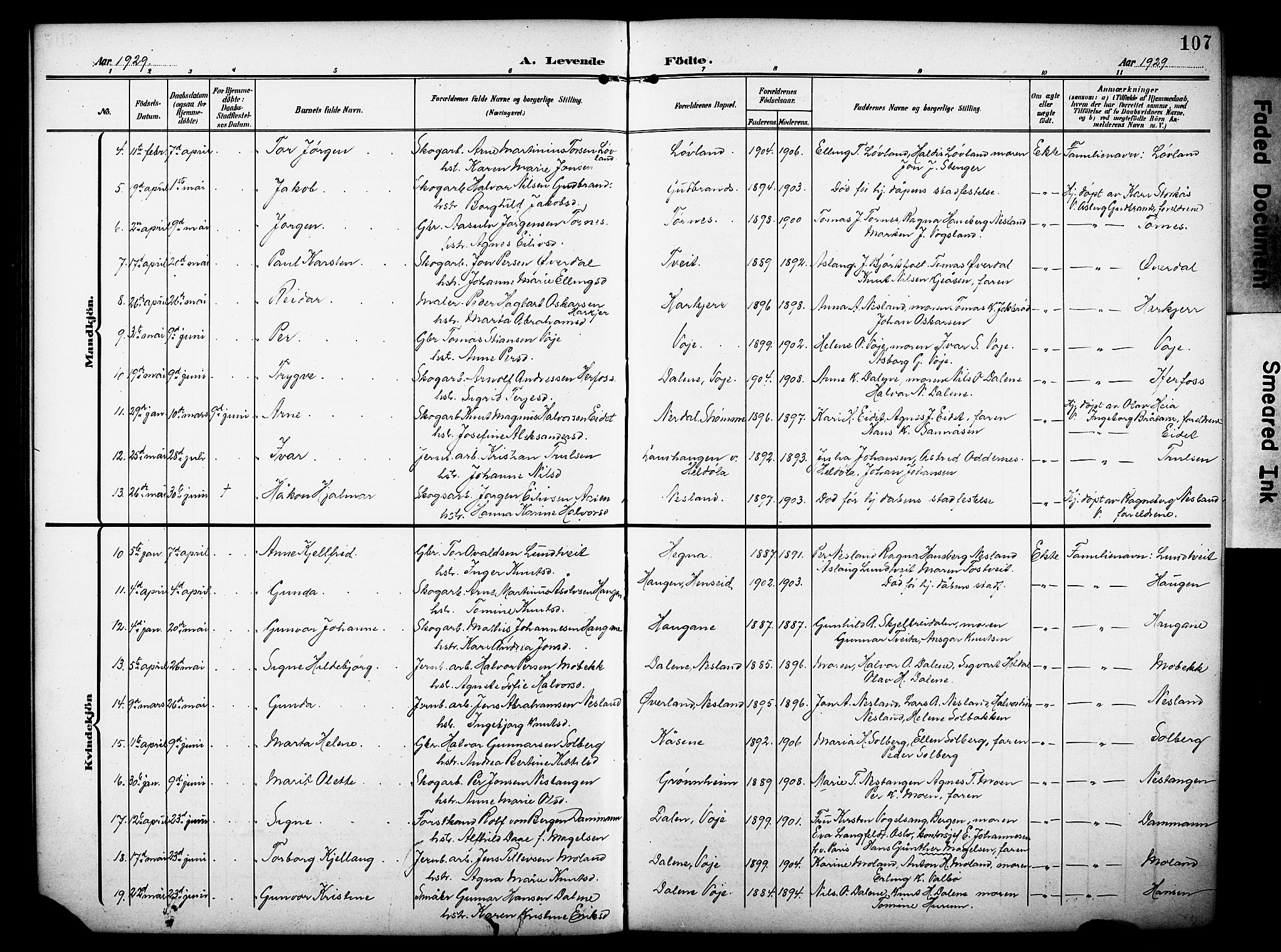 Drangedal kirkebøker, SAKO/A-258/G/Ga/L0004: Parish register (copy) no. I 4, 1901-1933, p. 107