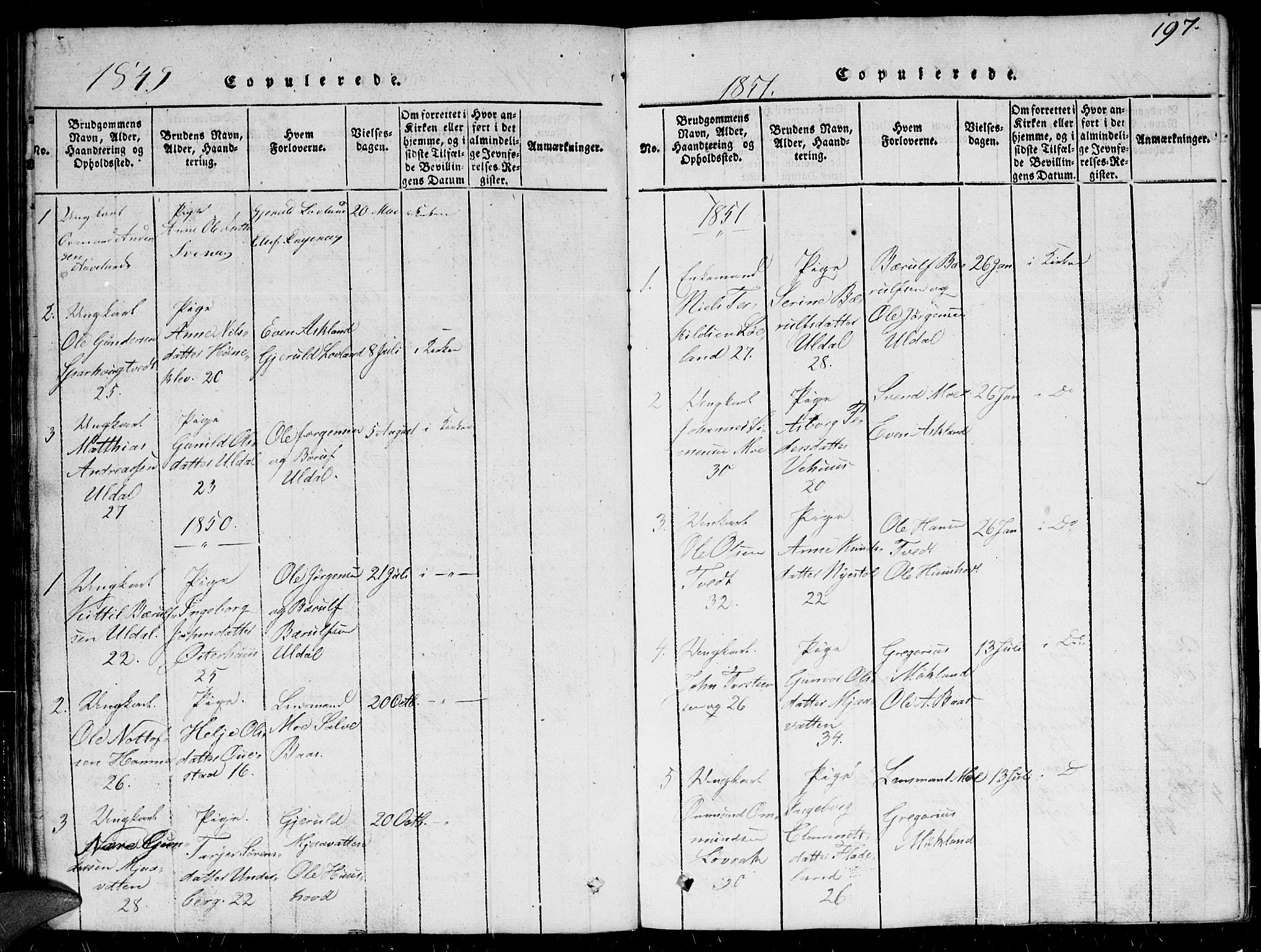 Herefoss sokneprestkontor, SAK/1111-0019/F/Fb/Fbc/L0001: Parish register (copy) no. B 1, 1816-1866, p. 197