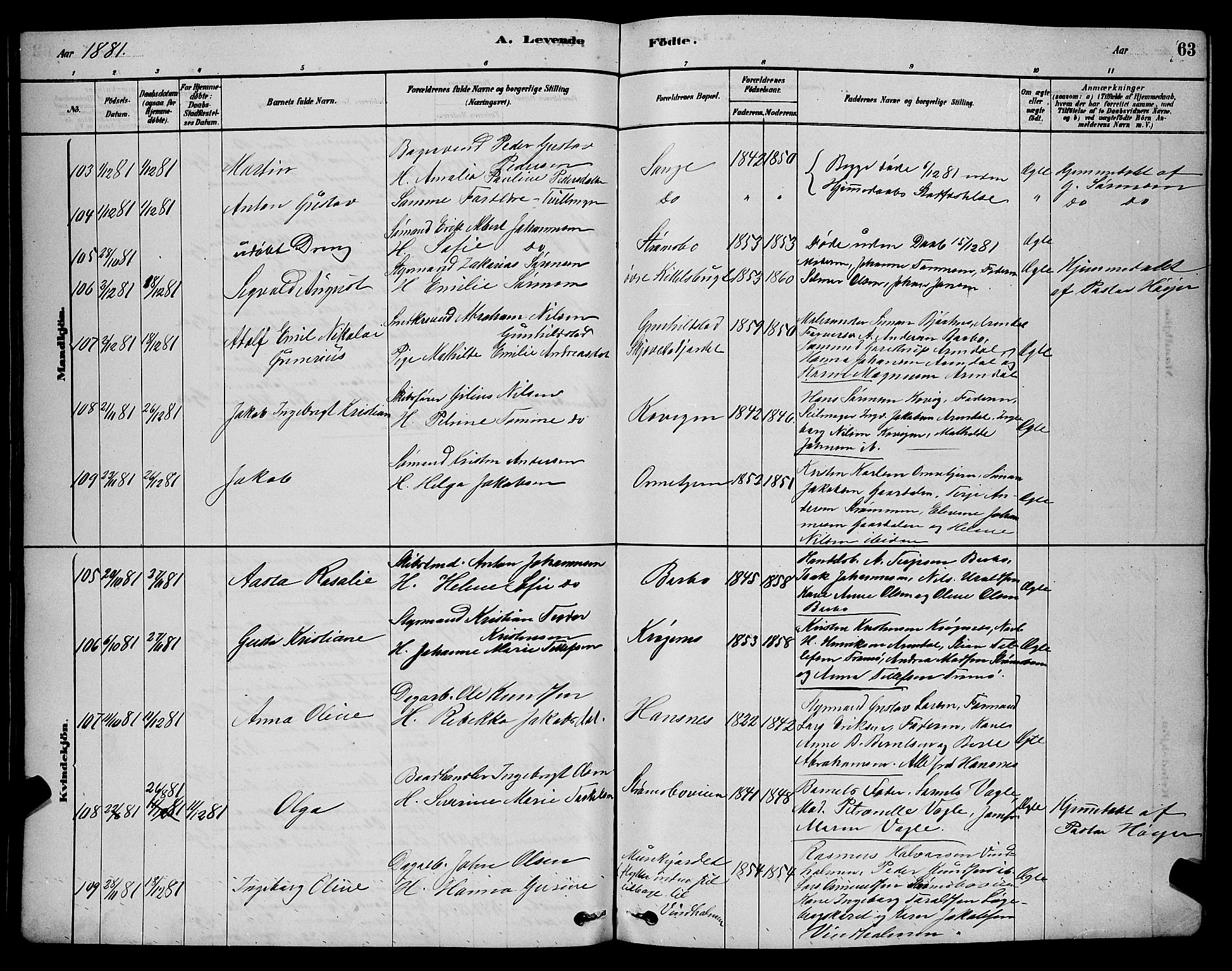 Barbu sokneprestkontor, AV/SAK-1111-0003/F/Fb/L0001: Parish register (copy) no. B 1, 1878-1890, p. 63