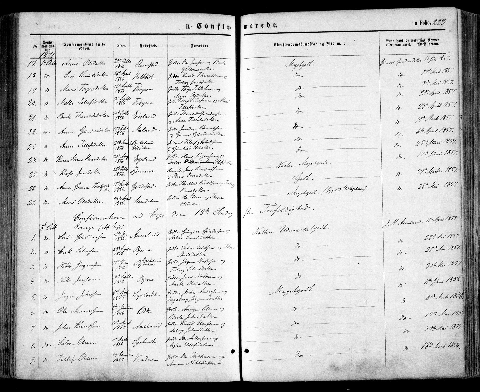 Evje sokneprestkontor, AV/SAK-1111-0008/F/Fa/Faa/L0006: Parish register (official) no. A 6, 1866-1884, p. 223