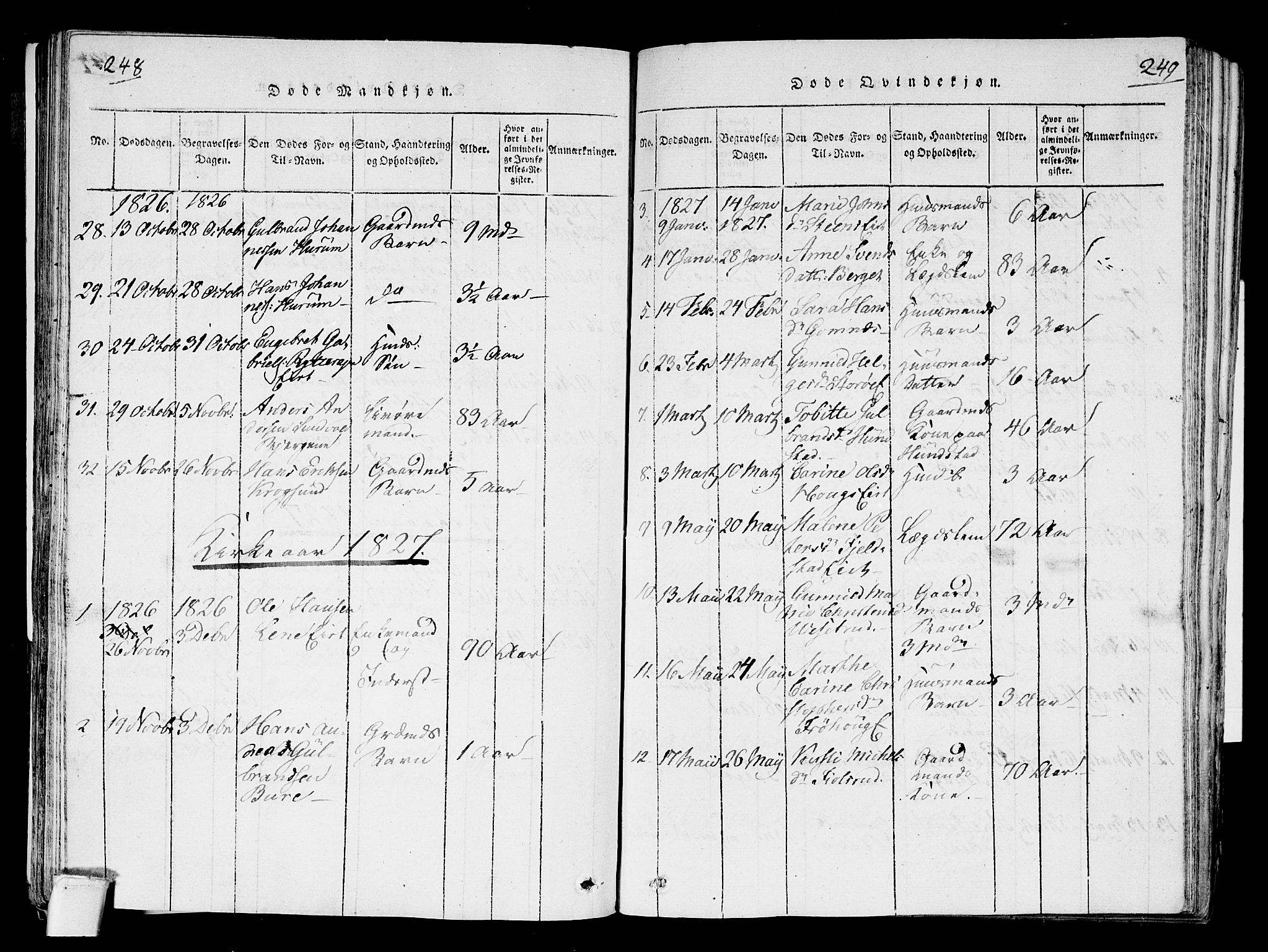 Hole kirkebøker, SAKO/A-228/F/Fa/L0004: Parish register (official) no. I 4, 1814-1833, p. 248-249