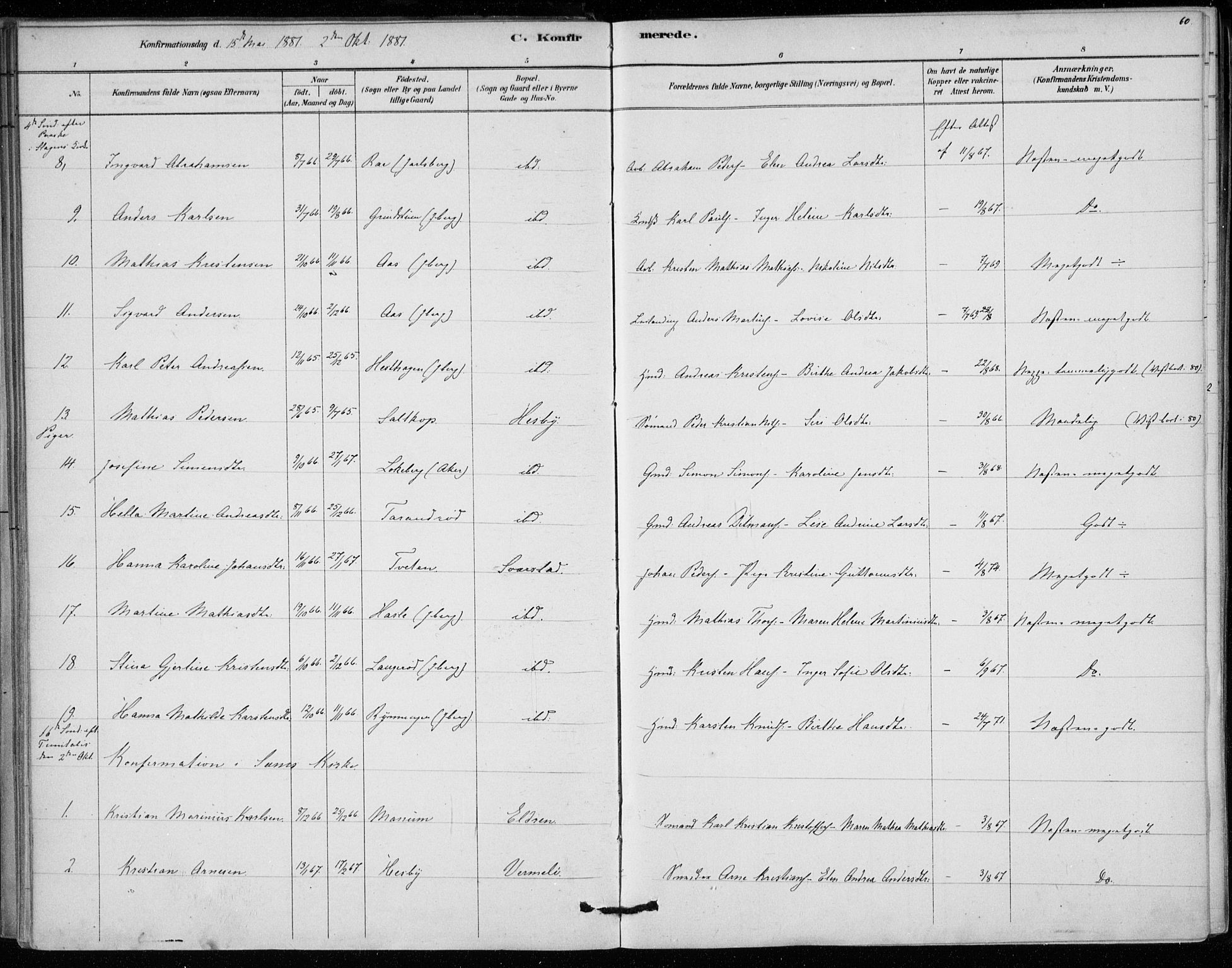 Sem kirkebøker, AV/SAKO-A-5/F/Fa/L0010: Parish register (official) no. I 10, 1878-1887, p. 60