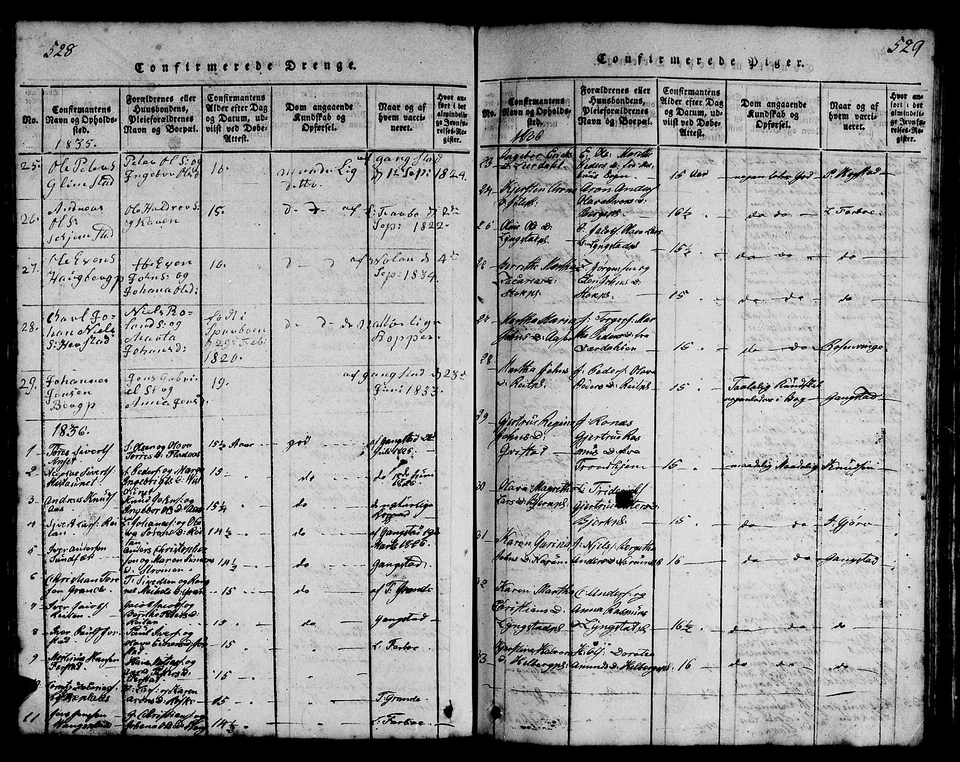Ministerialprotokoller, klokkerbøker og fødselsregistre - Nord-Trøndelag, SAT/A-1458/730/L0298: Parish register (copy) no. 730C01, 1816-1849, p. 528-529