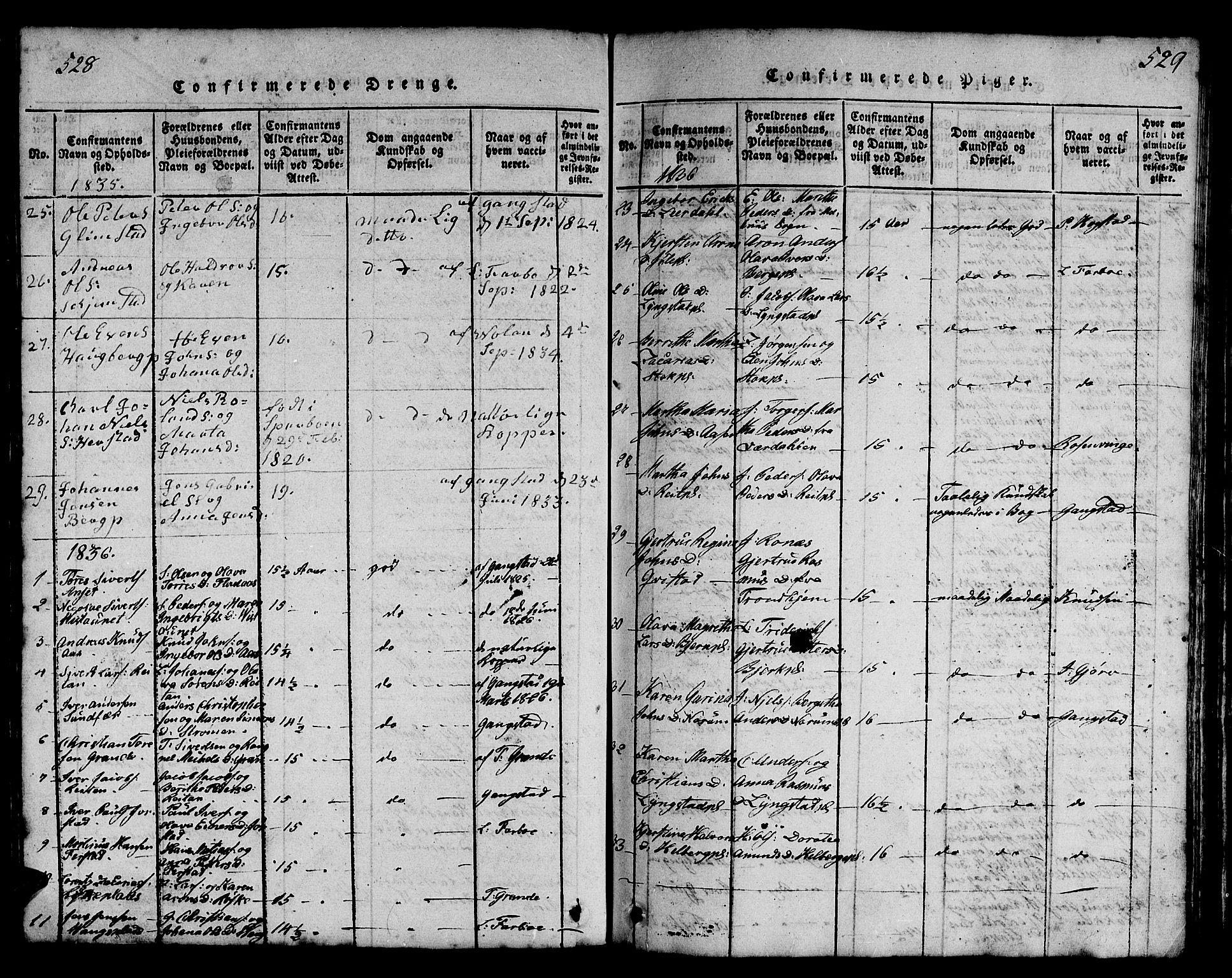 Ministerialprotokoller, klokkerbøker og fødselsregistre - Nord-Trøndelag, AV/SAT-A-1458/730/L0298: Parish register (copy) no. 730C01, 1816-1849, p. 528-529