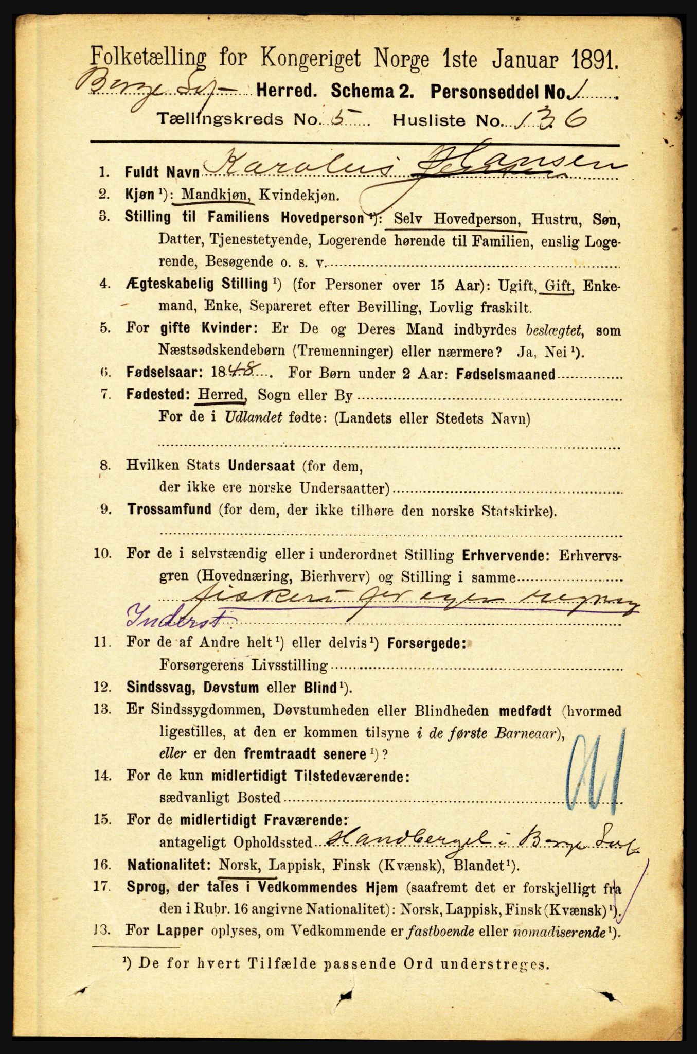 RA, 1891 census for 1862 Borge, 1891, p. 3869