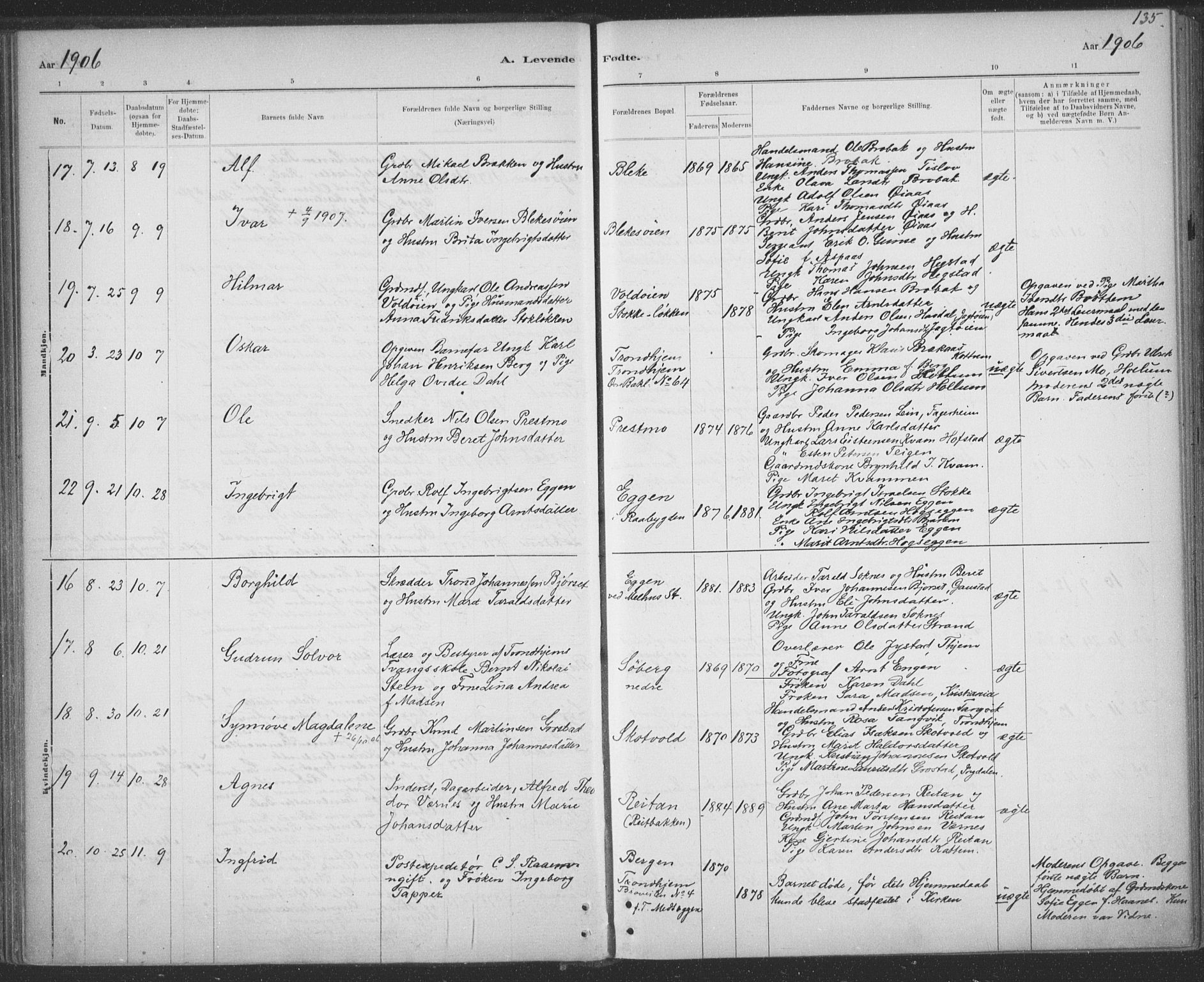 Ministerialprotokoller, klokkerbøker og fødselsregistre - Sør-Trøndelag, SAT/A-1456/691/L1085: Parish register (official) no. 691A17, 1887-1908, p. 135