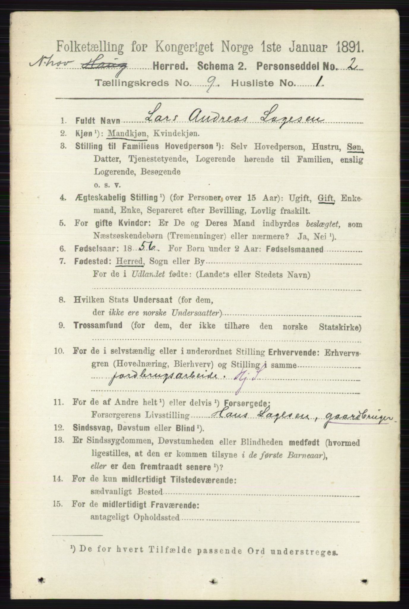 RA, 1891 census for 0613 Norderhov, 1891, p. 6599