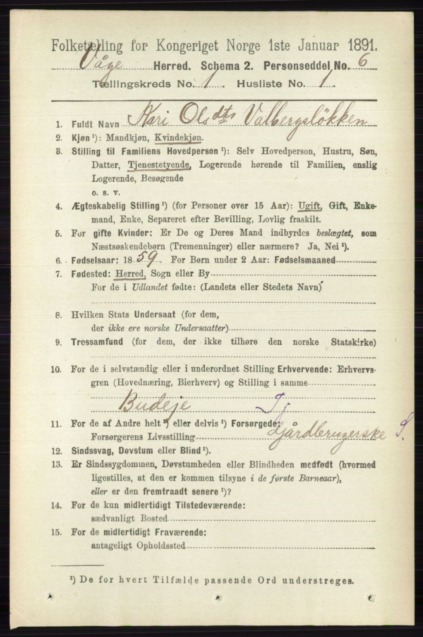 RA, 1891 census for 0515 Vågå, 1891, p. 167
