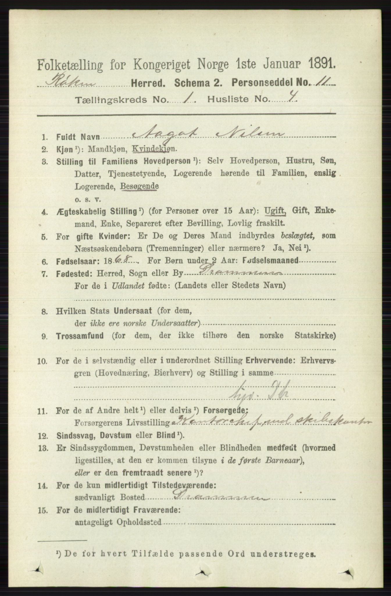RA, 1891 census for 0627 Røyken, 1891, p. 116