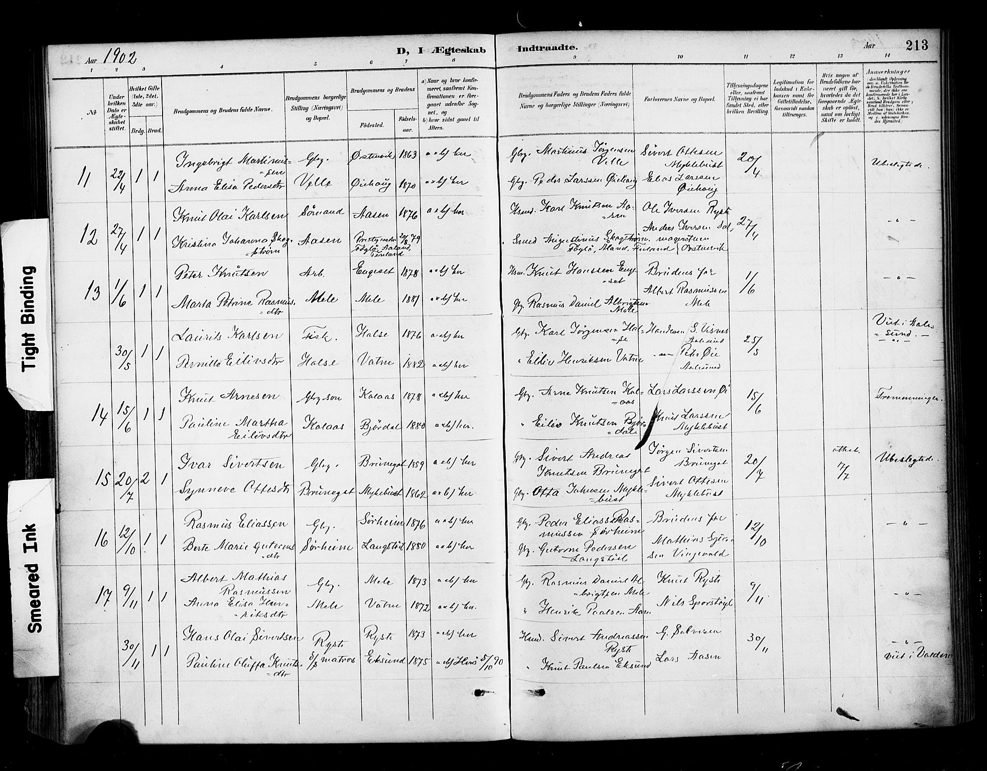 Ministerialprotokoller, klokkerbøker og fødselsregistre - Møre og Romsdal, AV/SAT-A-1454/513/L0177: Parish register (official) no. 513A04, 1890-1906, p. 213