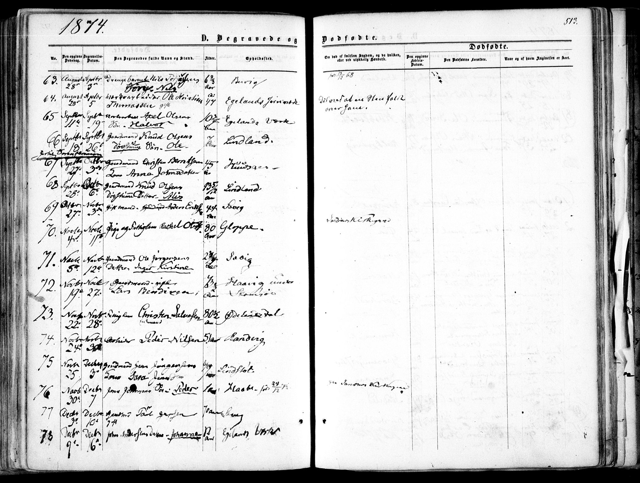 Søndeled sokneprestkontor, SAK/1111-0038/F/Fa/L0003: Parish register (official) no. A 3, 1861-1879, p. 513
