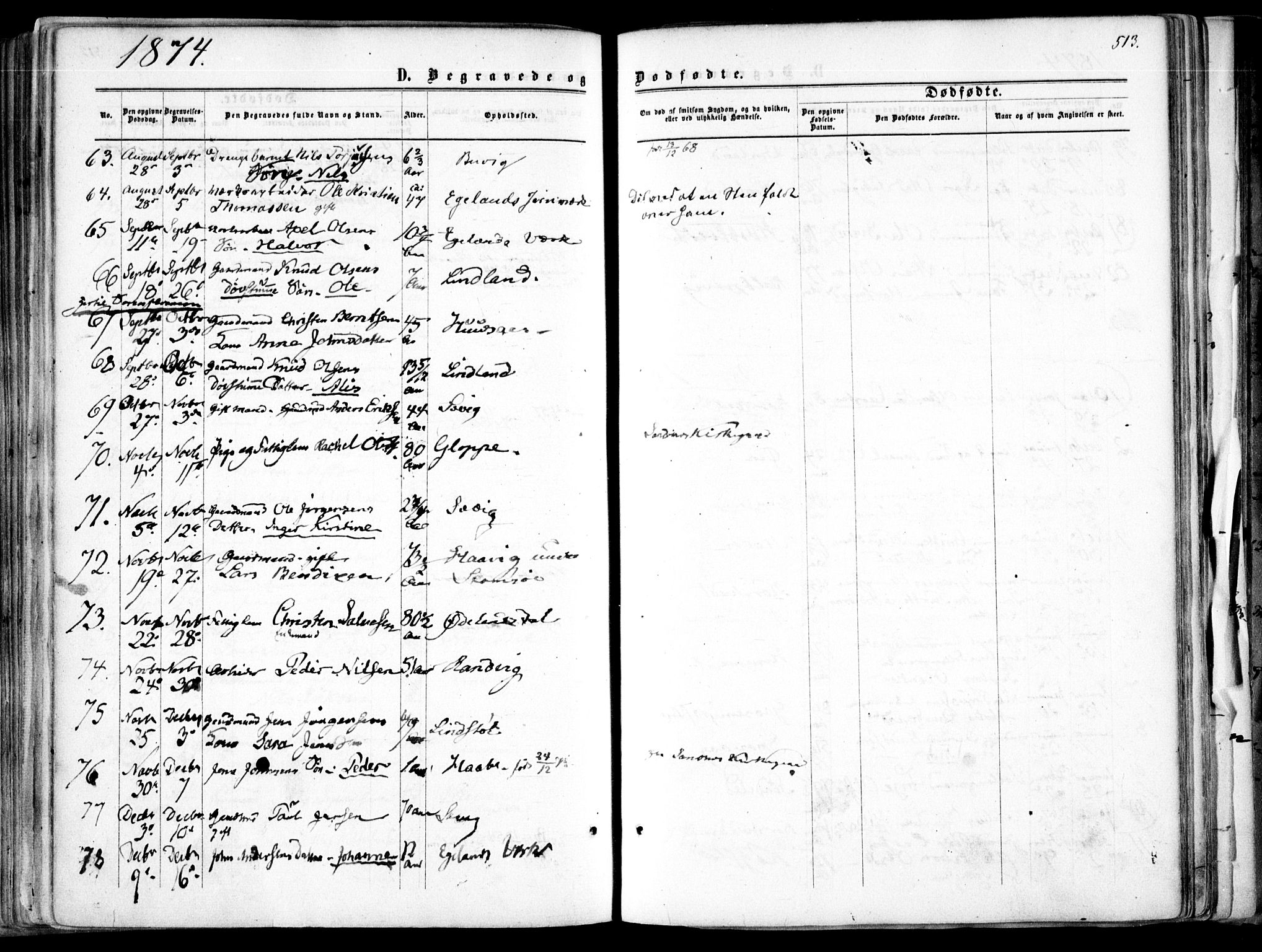 Søndeled sokneprestkontor, AV/SAK-1111-0038/F/Fa/L0003: Parish register (official) no. A 3, 1861-1879, p. 513