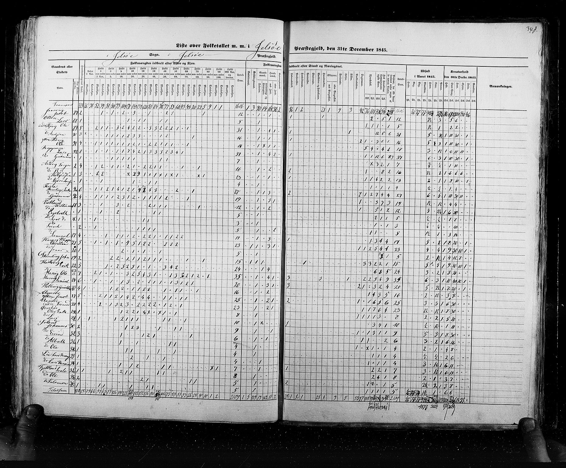 RA, Census 1845, vol. 6: Lister og Mandal amt og Stavanger amt, 1845, p. 348