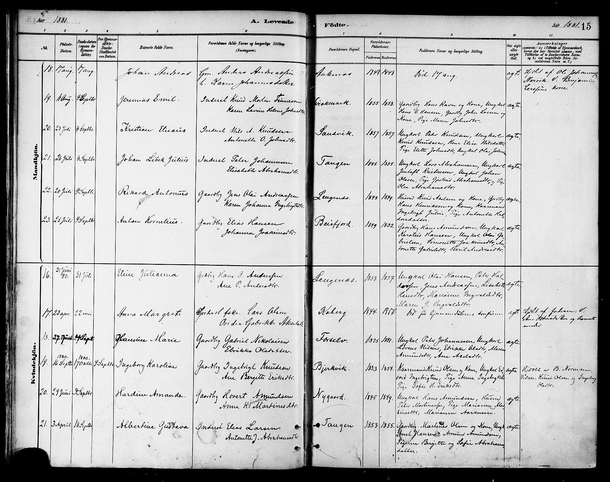 Ministerialprotokoller, klokkerbøker og fødselsregistre - Nordland, AV/SAT-A-1459/866/L0938: Parish register (official) no. 866A01, 1879-1893, p. 15