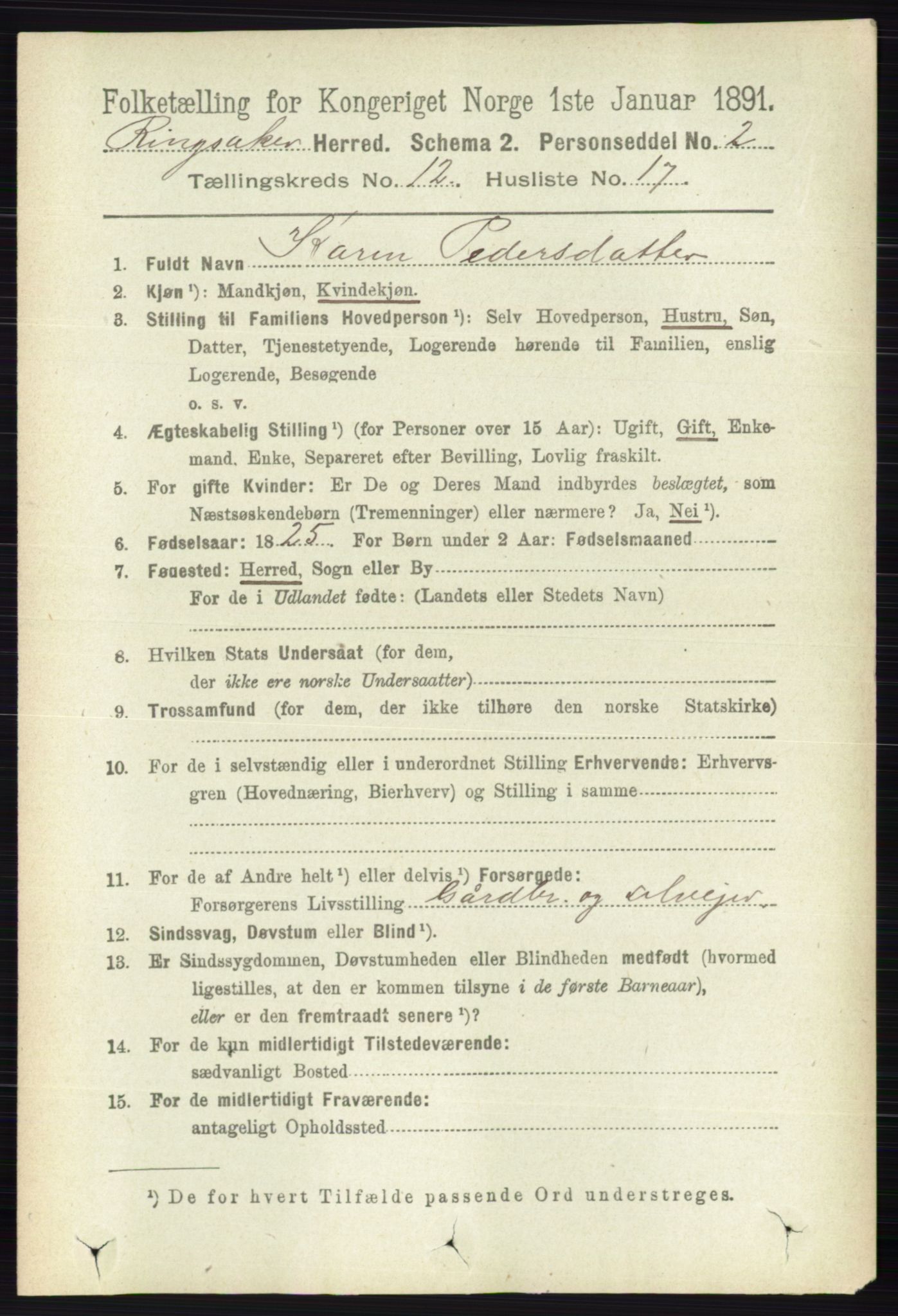 RA, 1891 census for 0412 Ringsaker, 1891, p. 6845
