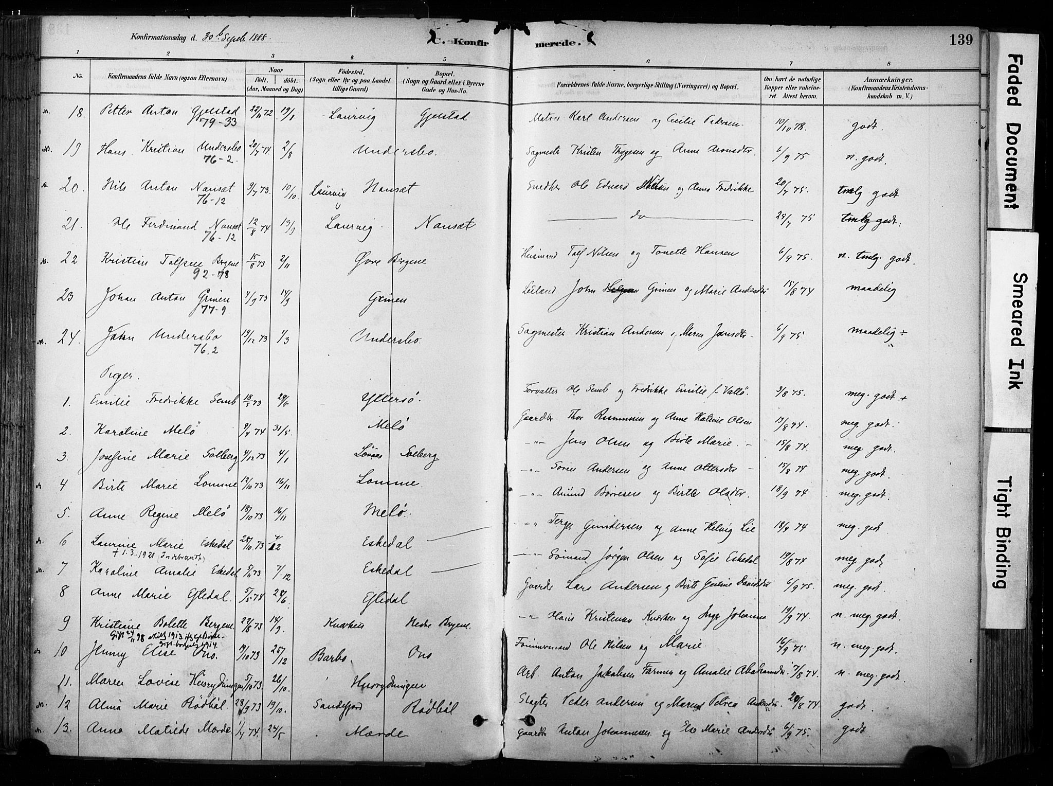 Hedrum kirkebøker, AV/SAKO-A-344/F/Fa/L0009: Parish register (official) no. I 9, 1881-1903, p. 139