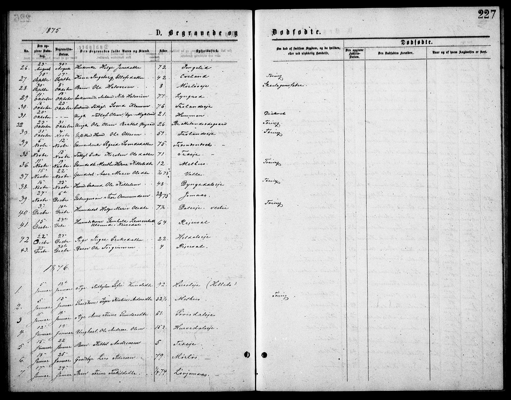 Froland sokneprestkontor, SAK/1111-0013/F/Fb/L0009: Parish register (copy) no. B 9, 1875-1893, p. 227
